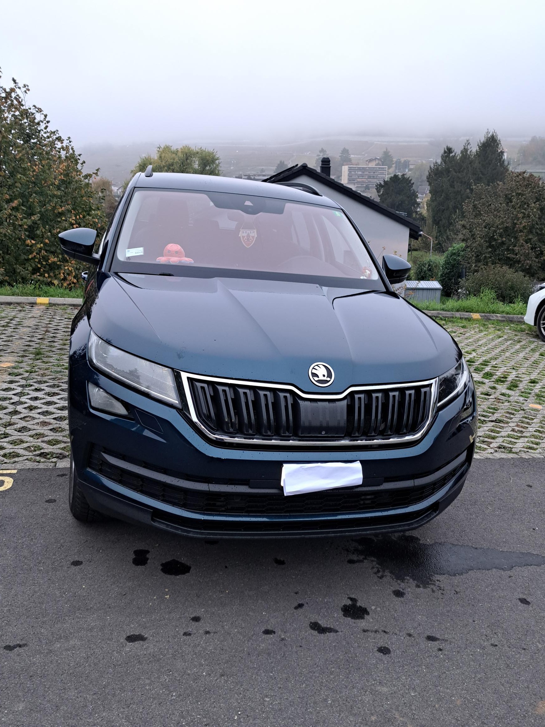 SKODA Kodiaq 2.0 TDI CR Style 4x4 DSG