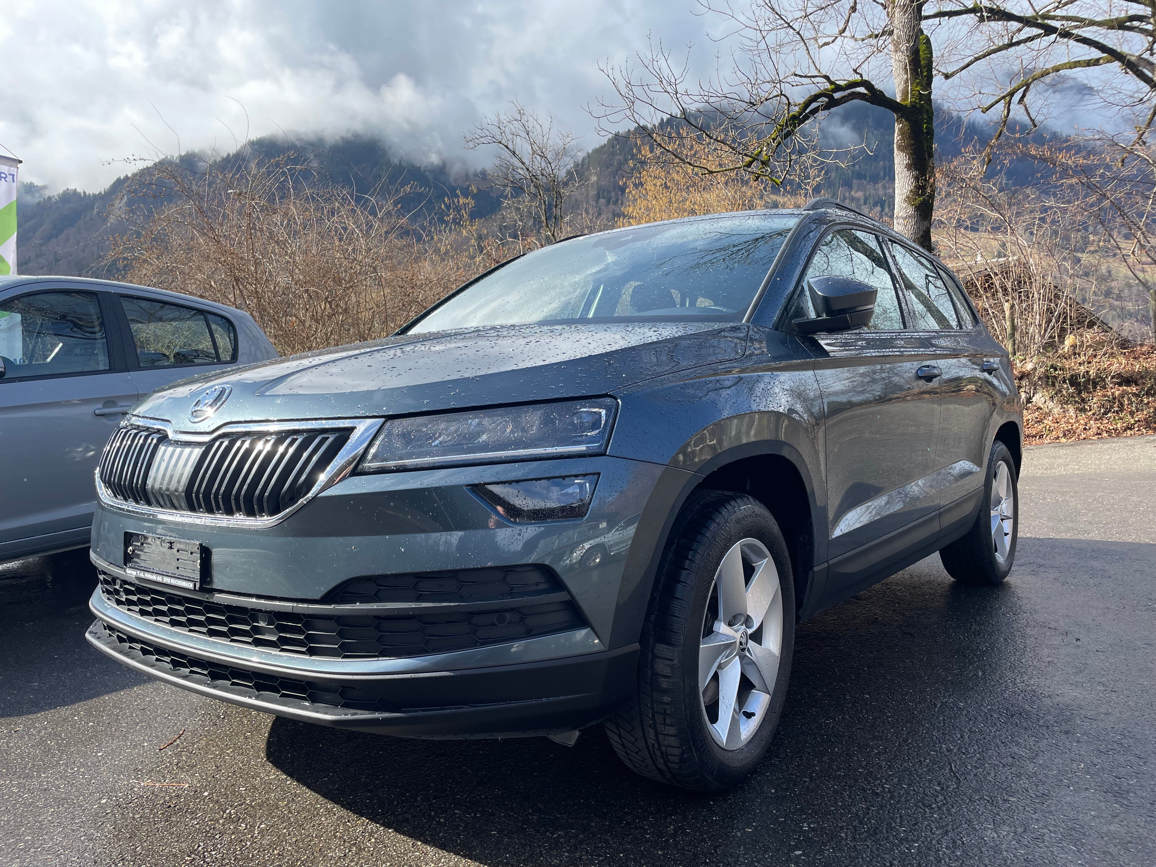 SKODA Karoq 2.0 TDI CR Ambition 4x4 DSG