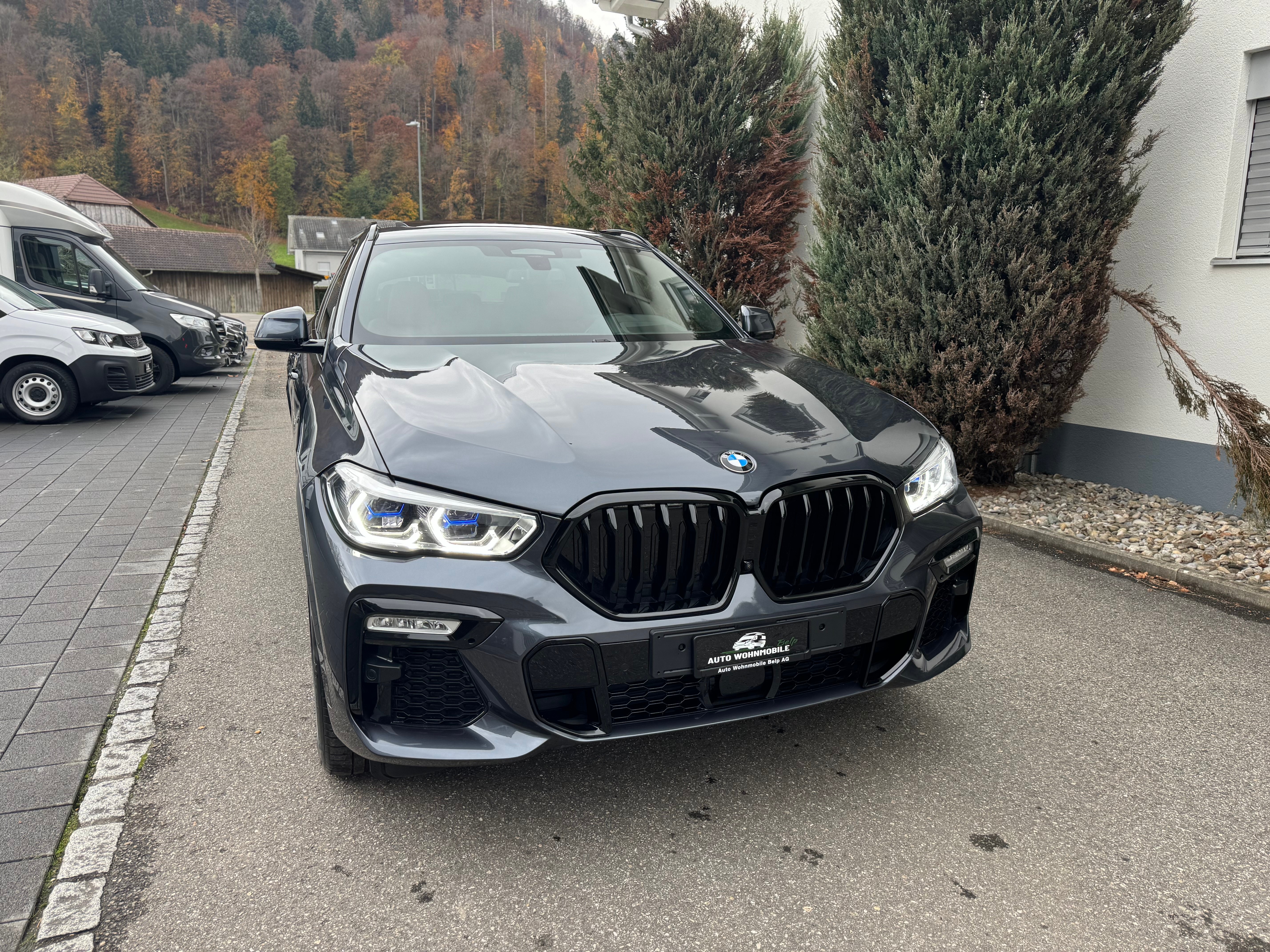 BMW X6 xDrive 48V 30d M Sport Steptronic