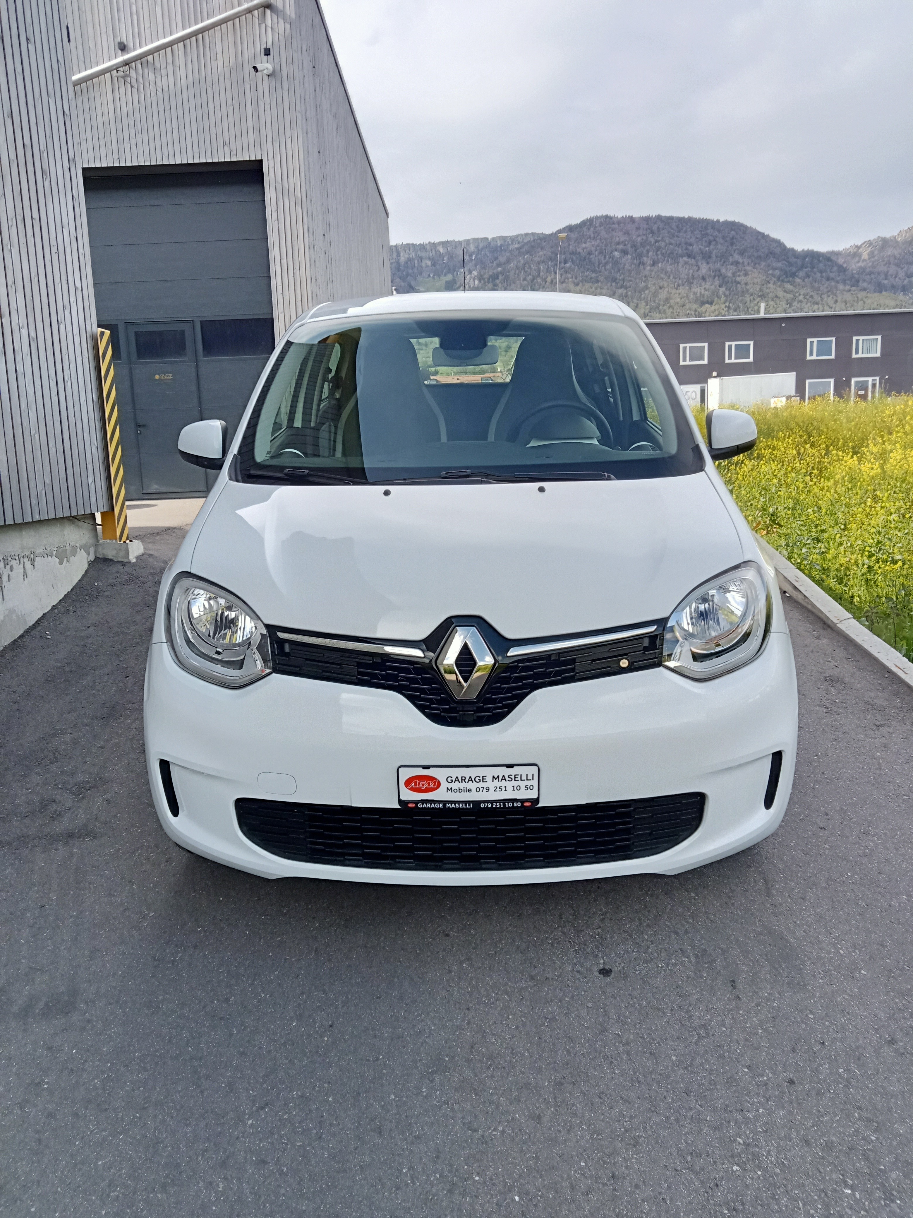 RENAULT Twingo Electric Equilibre