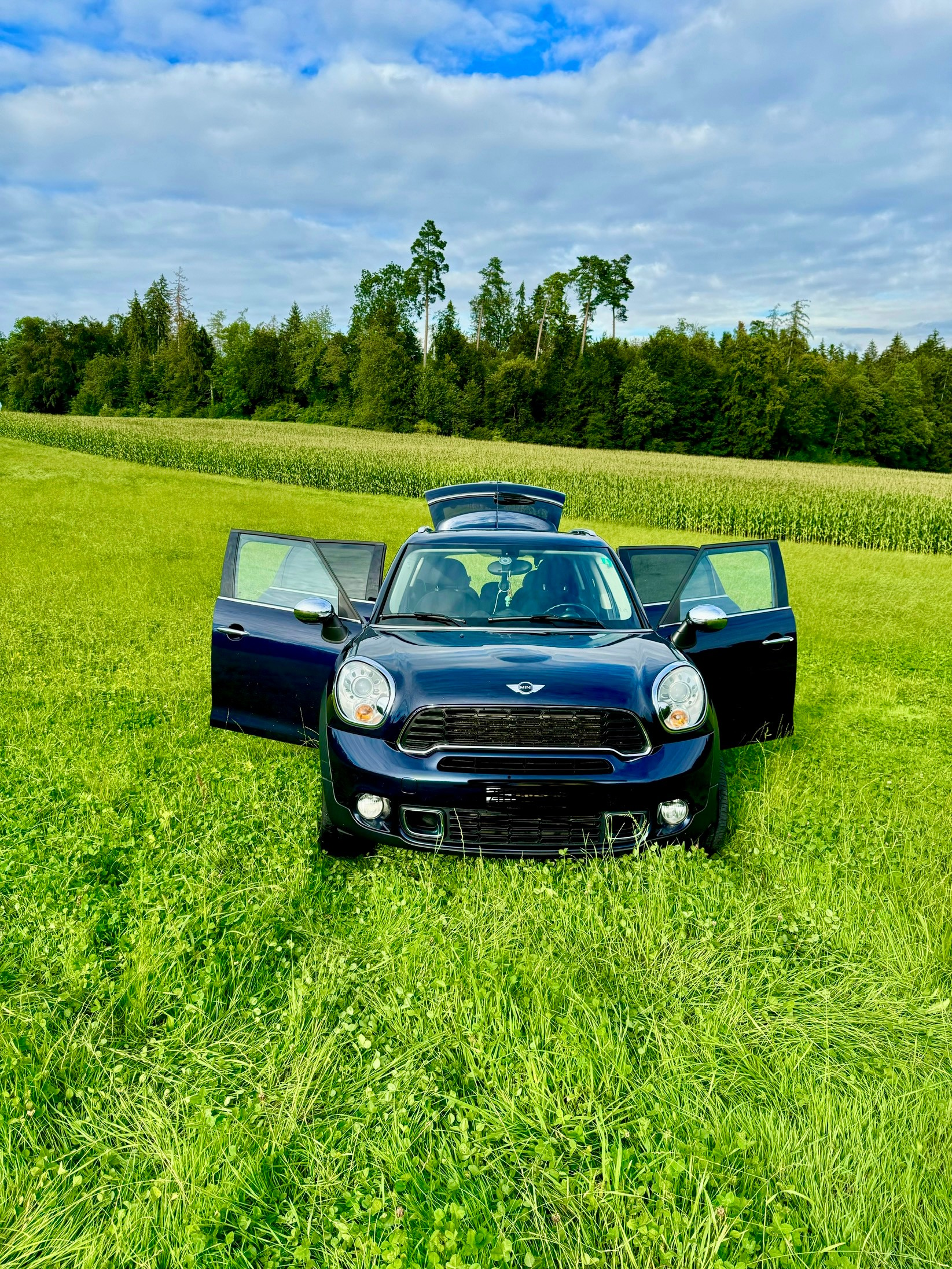 MINI COOPER S COUNTRYMAN ALL4 turbo