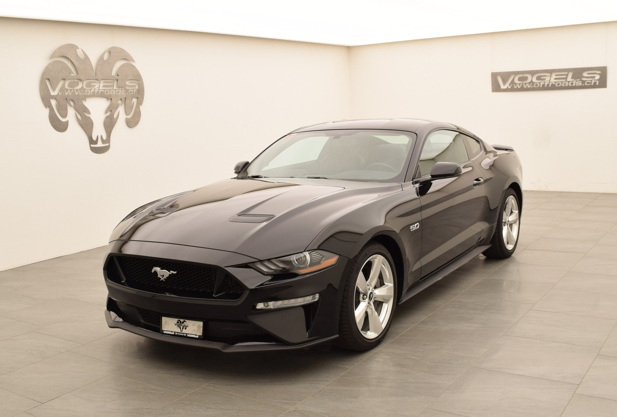 FORD MUSTANG 5.0 GT