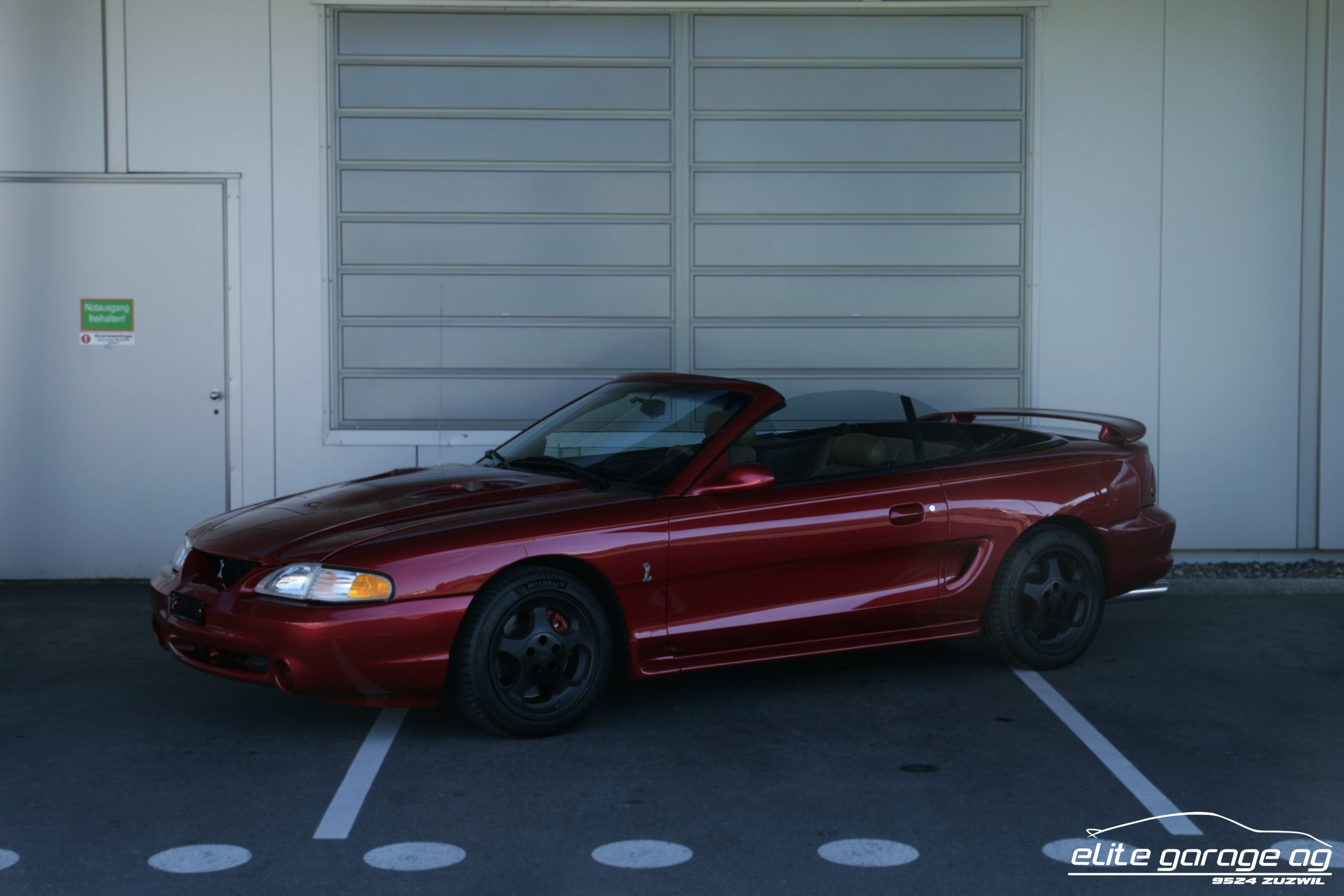 FORD Mustang Cobra