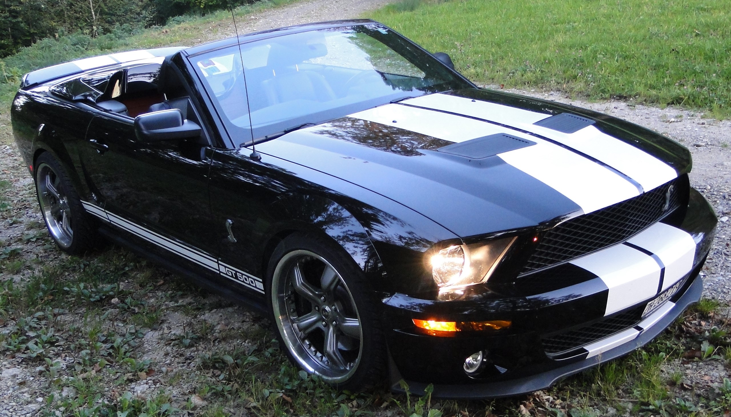 FORD MUSTANG Shelby 500