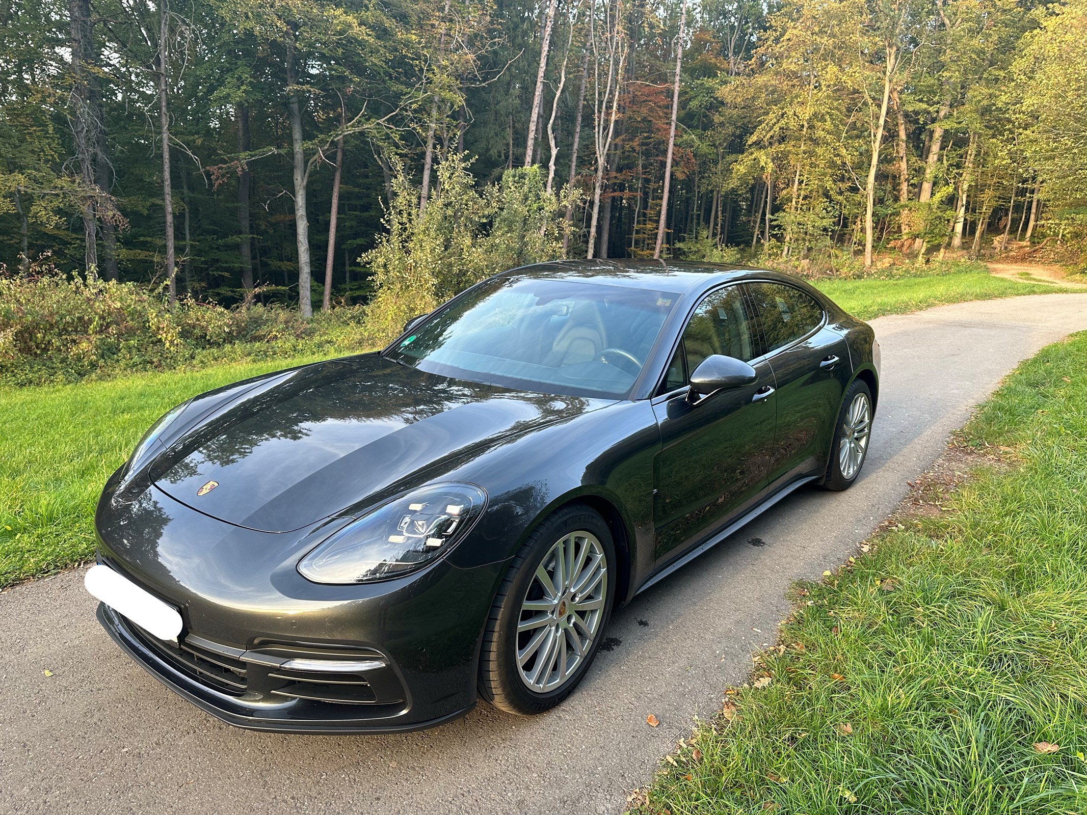 PORSCHE Panamera 4 PDK *UNFALL*