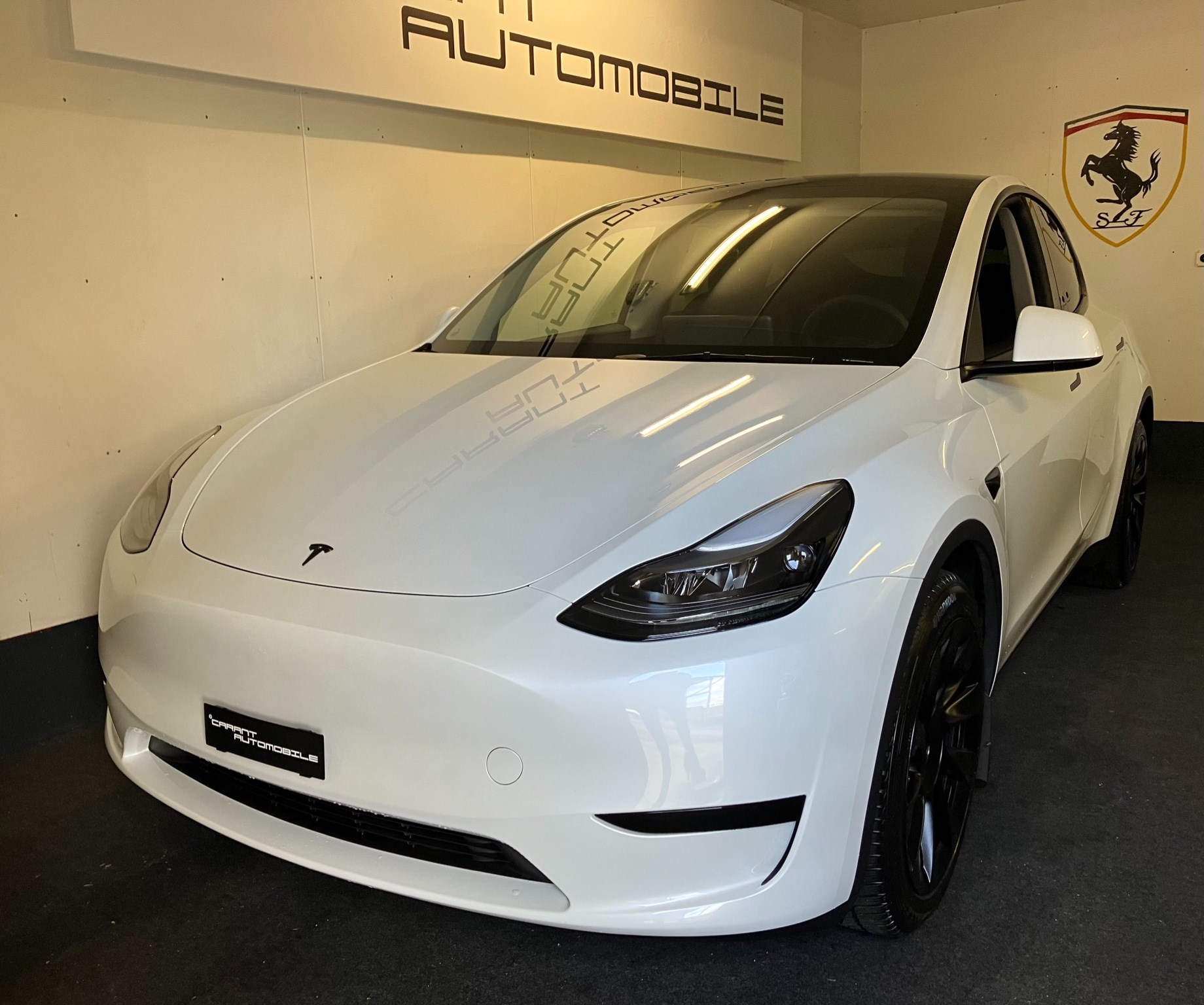 TESLA Model Y RWD