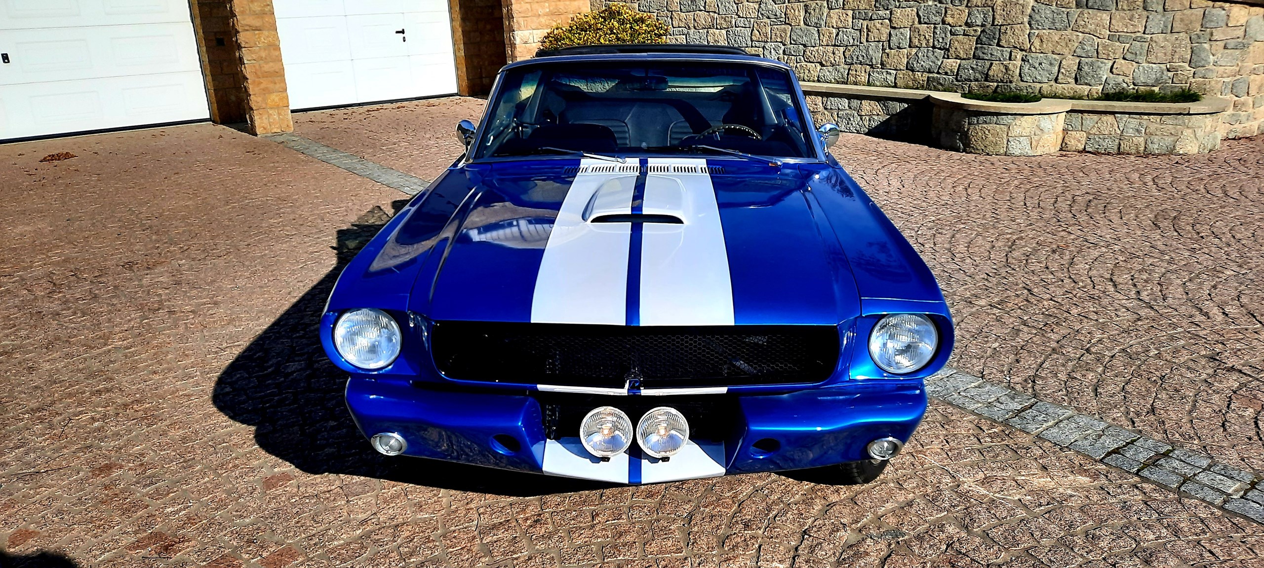 FORD MUSTANG Shelby 350 GT V8 390CV