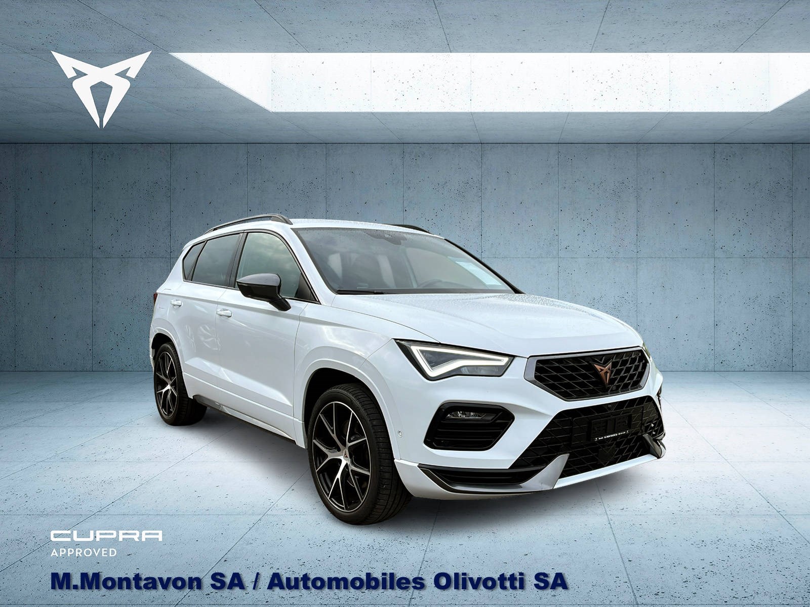 CUPRA Ateca 2.0TSI 4Drive DSG