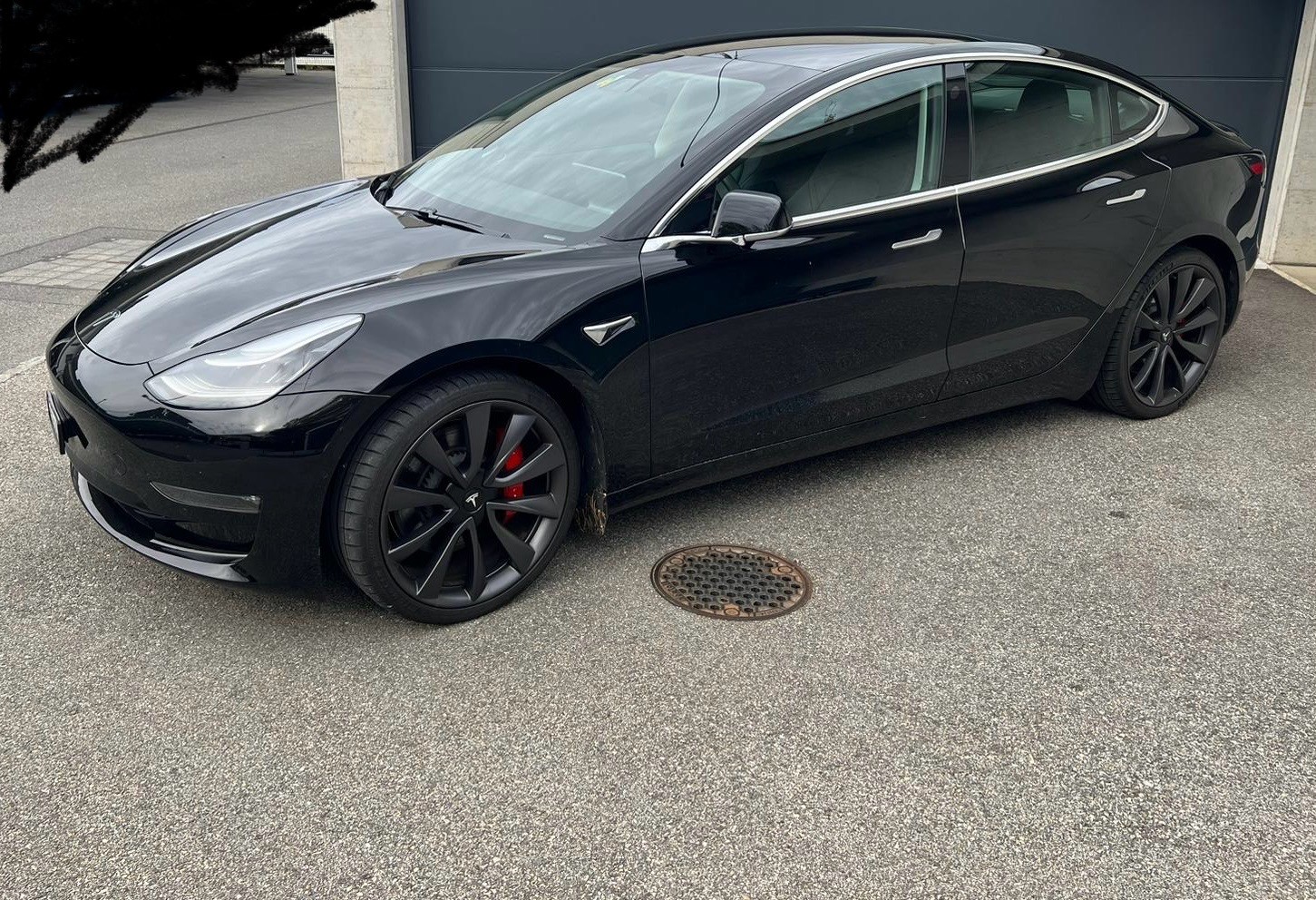 TESLA Model 3 Performance Dual Motor AWD