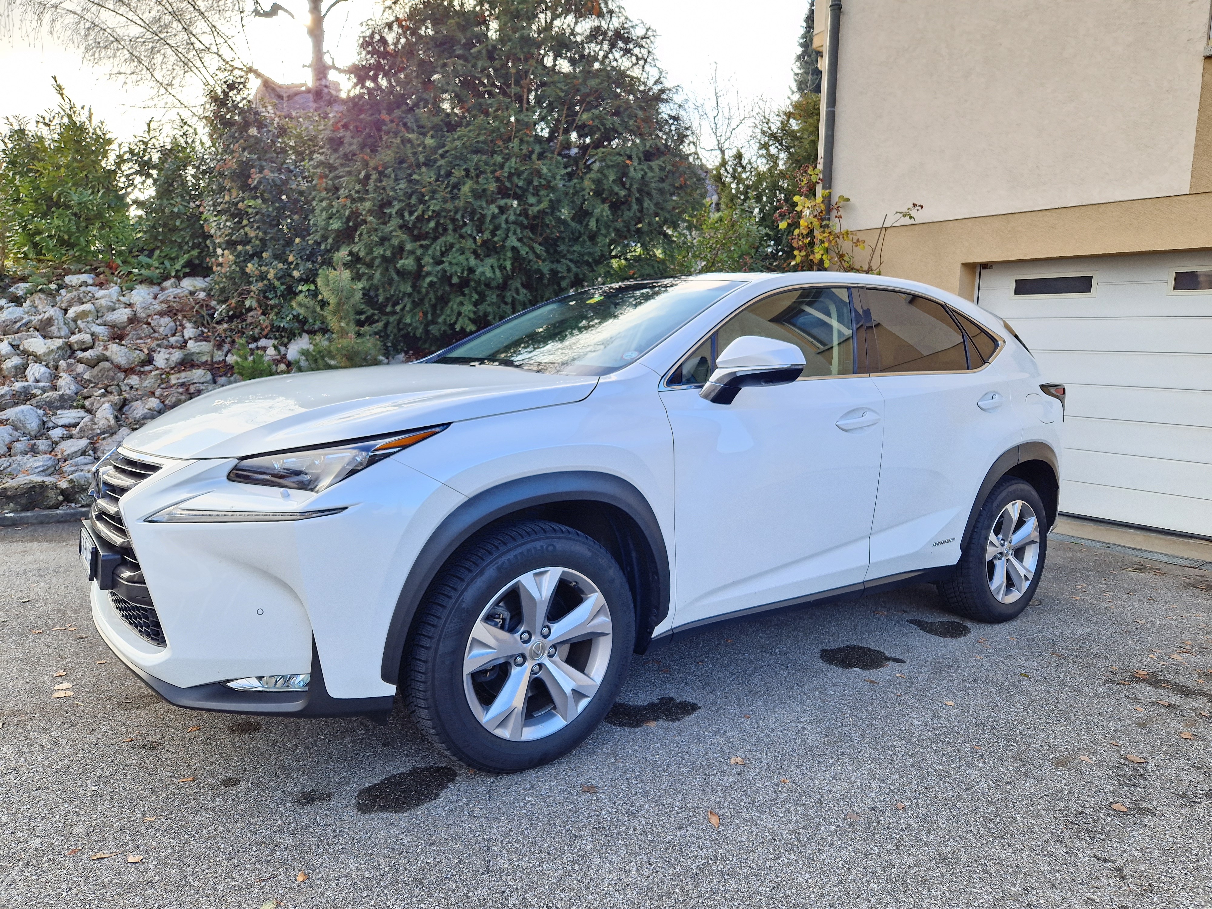 LEXUS NX 300h excellence E-Four Automatic