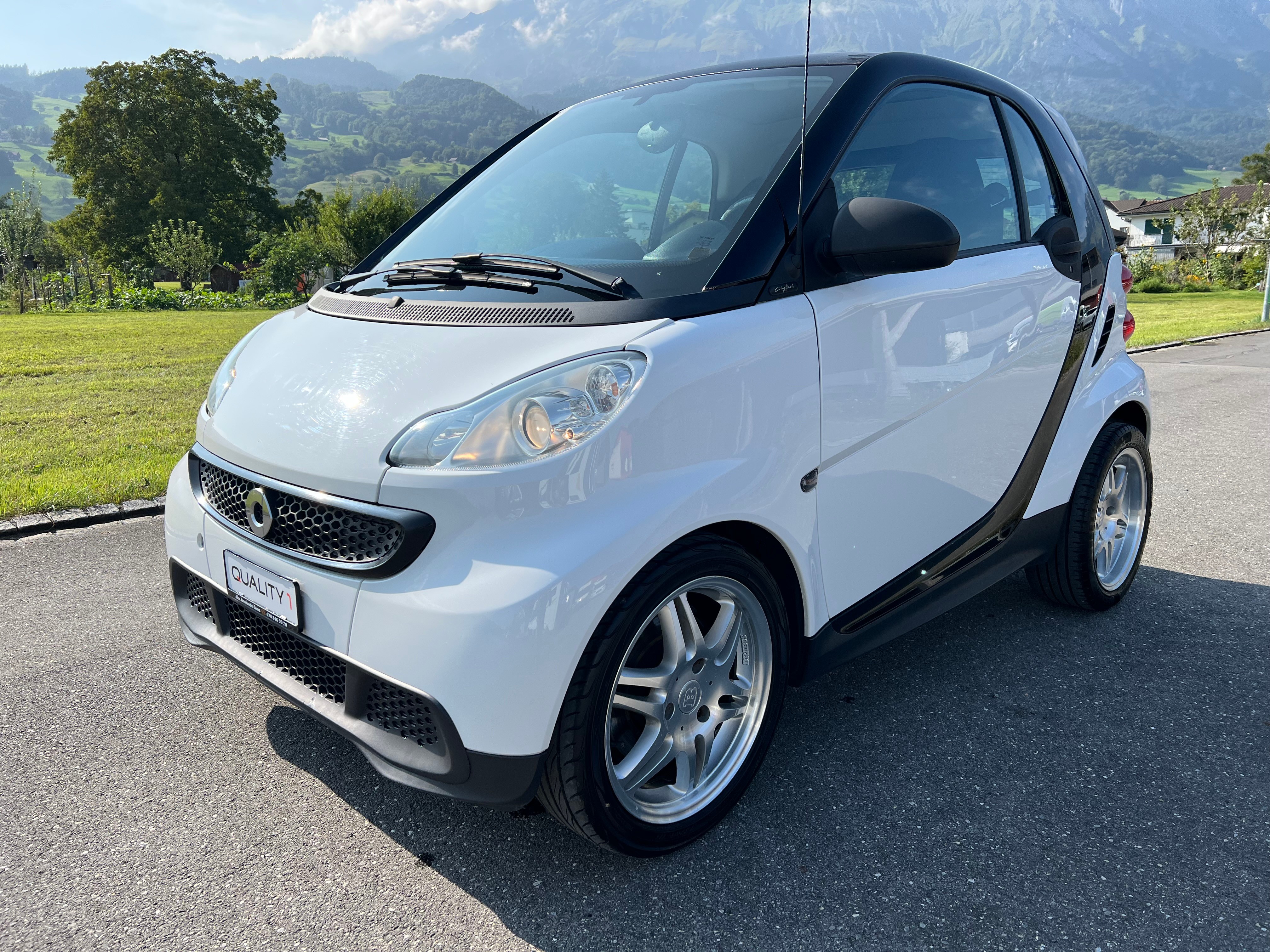 SMART fortwo city flash mhd softip