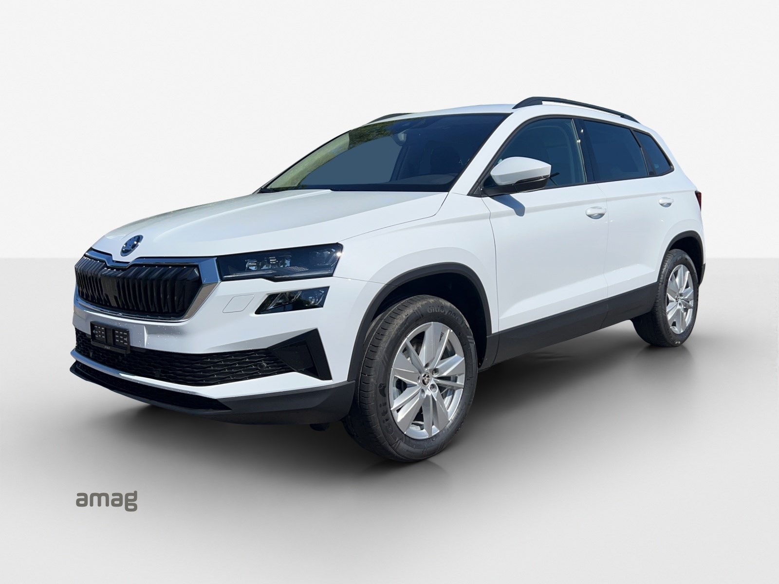 SKODA Karoq 2.0 TDI CR Selection 4x4 DSG