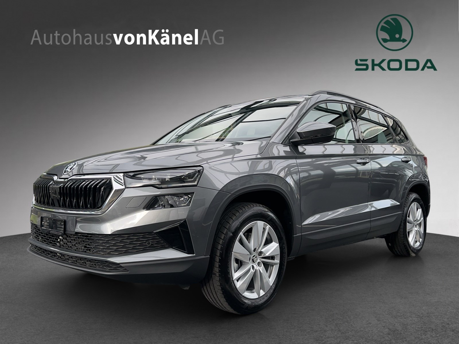 SKODA Karoq 2.0 TDI CR Selection 4x4 DSG