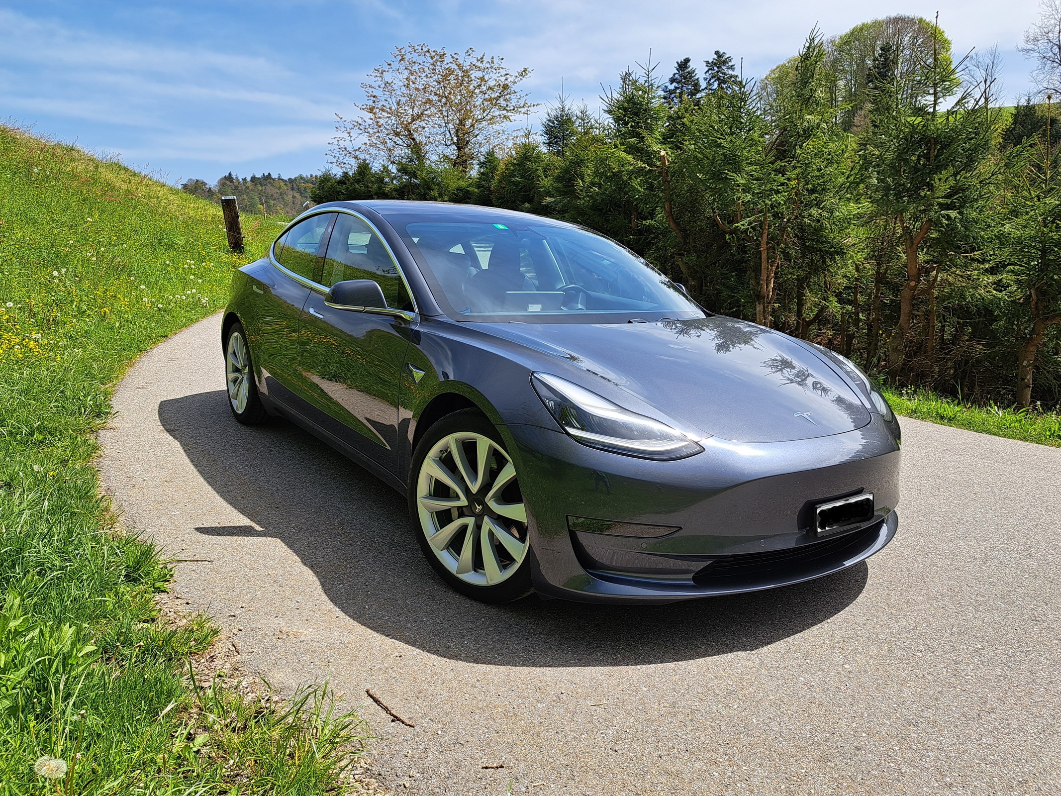 TESLA Model 3 Long Range Dual Motor AWD