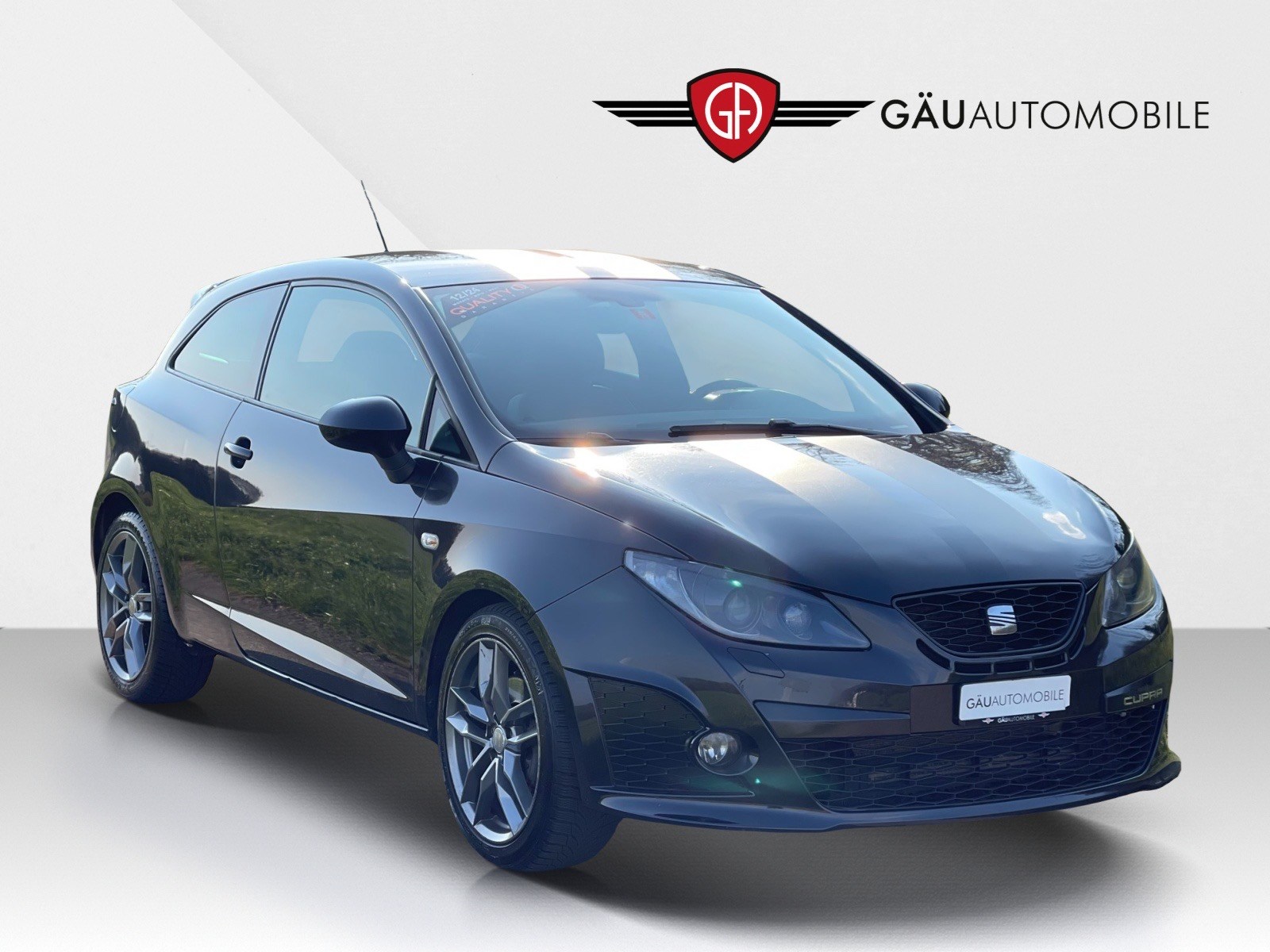 SEAT Ibiza SC 1.4 TSI Cupra R210 Swiss Racing DSG