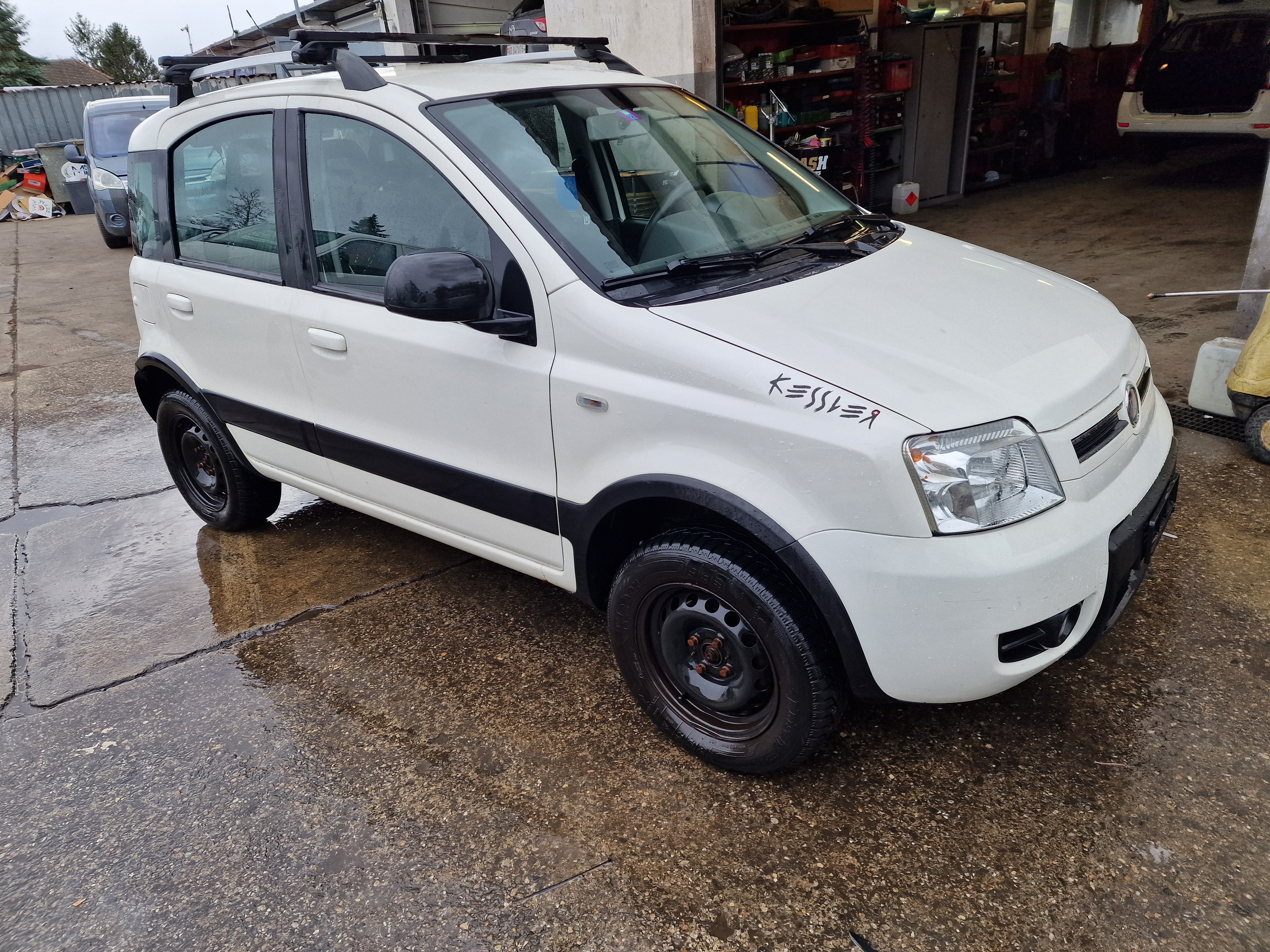 FIAT Panda 1.3 16V JTD 4x4 (Trekking)