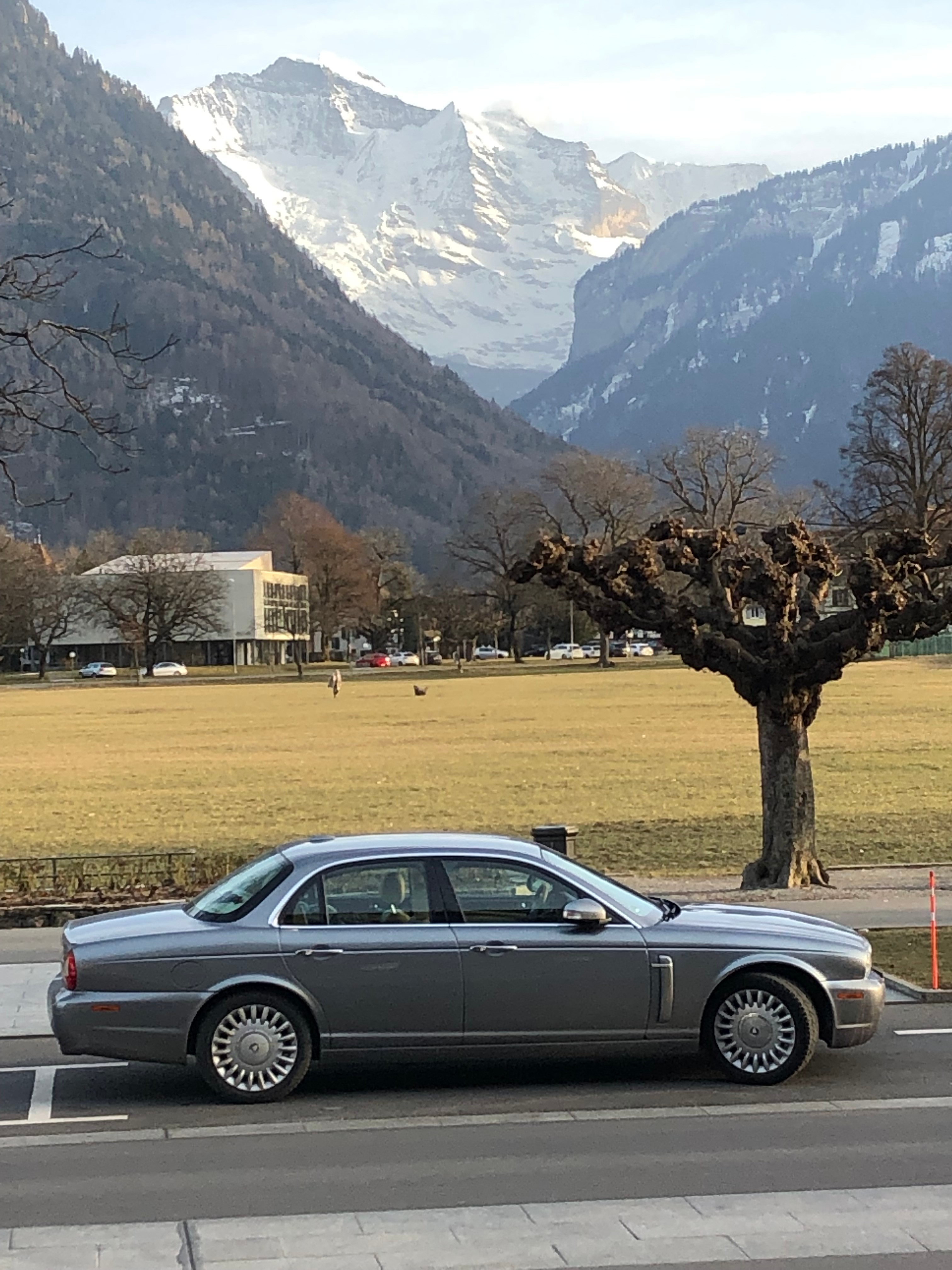 JAGUAR XJ8 4.2 V8 Executive