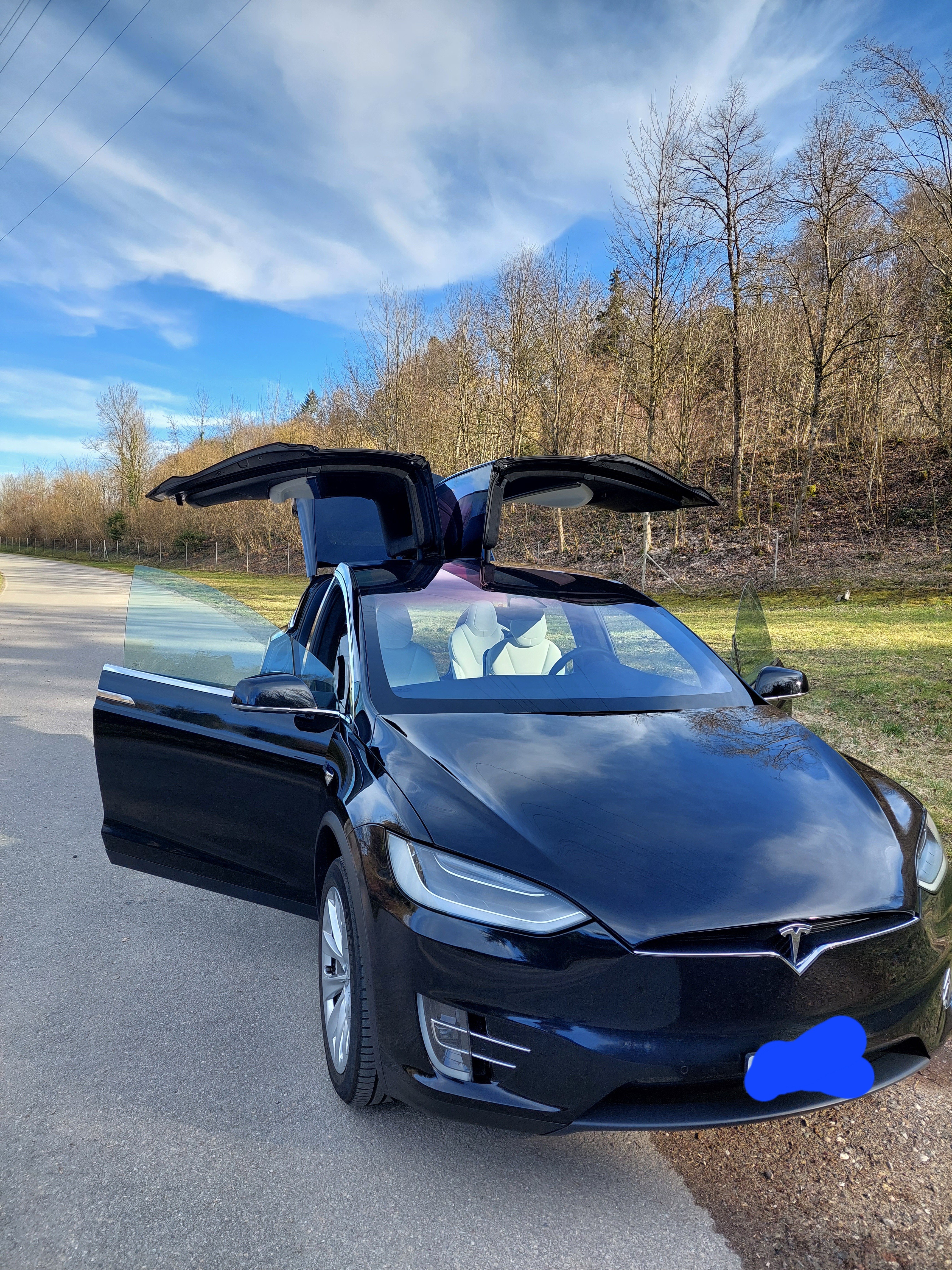 TESLA Model X 100 D