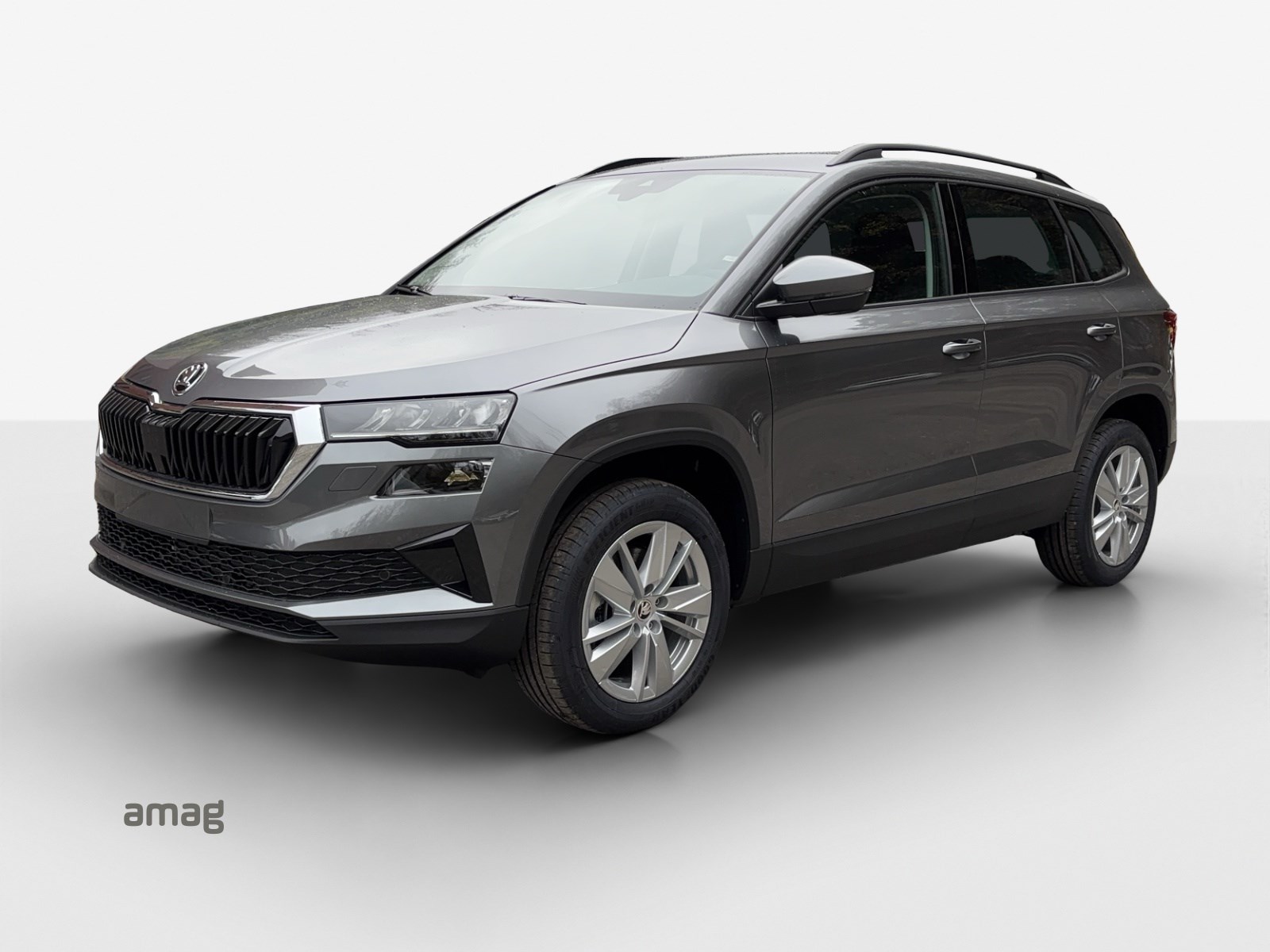 SKODA Karoq 1.5 TSI Selection DSG