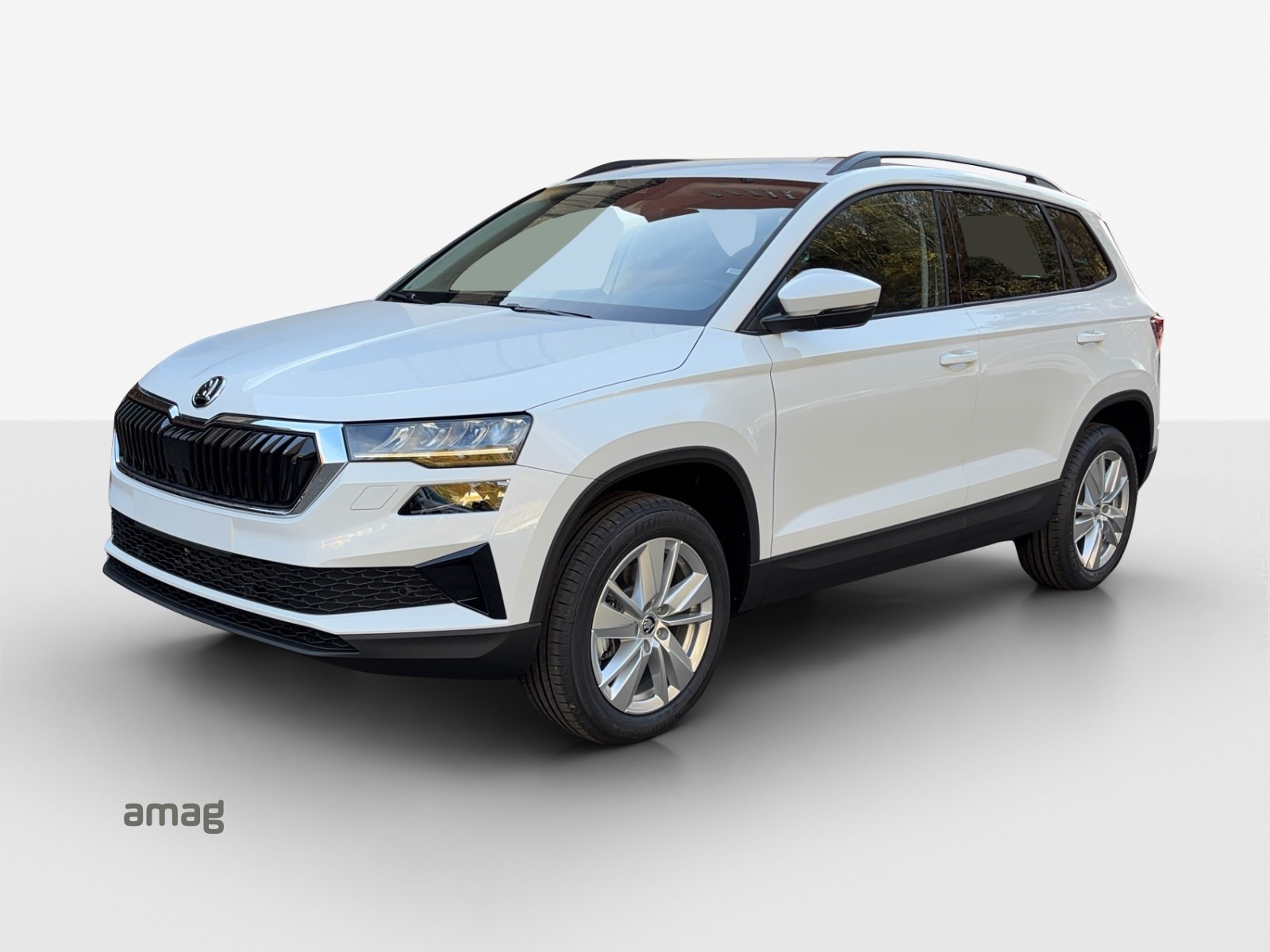 SKODA Karoq 1.5 TSI Selection DSG