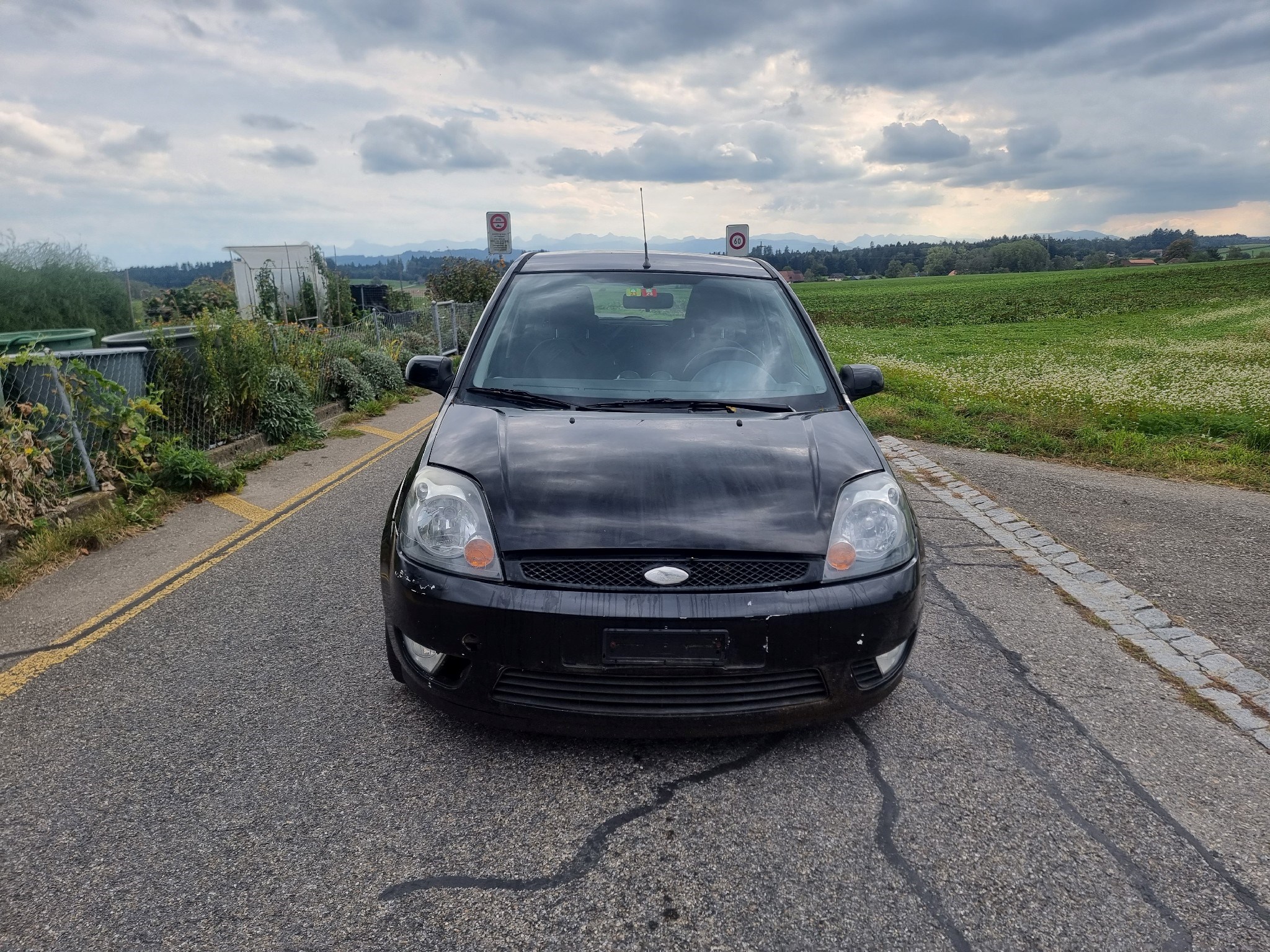 FORD Fiesta 1.6 16V Trend