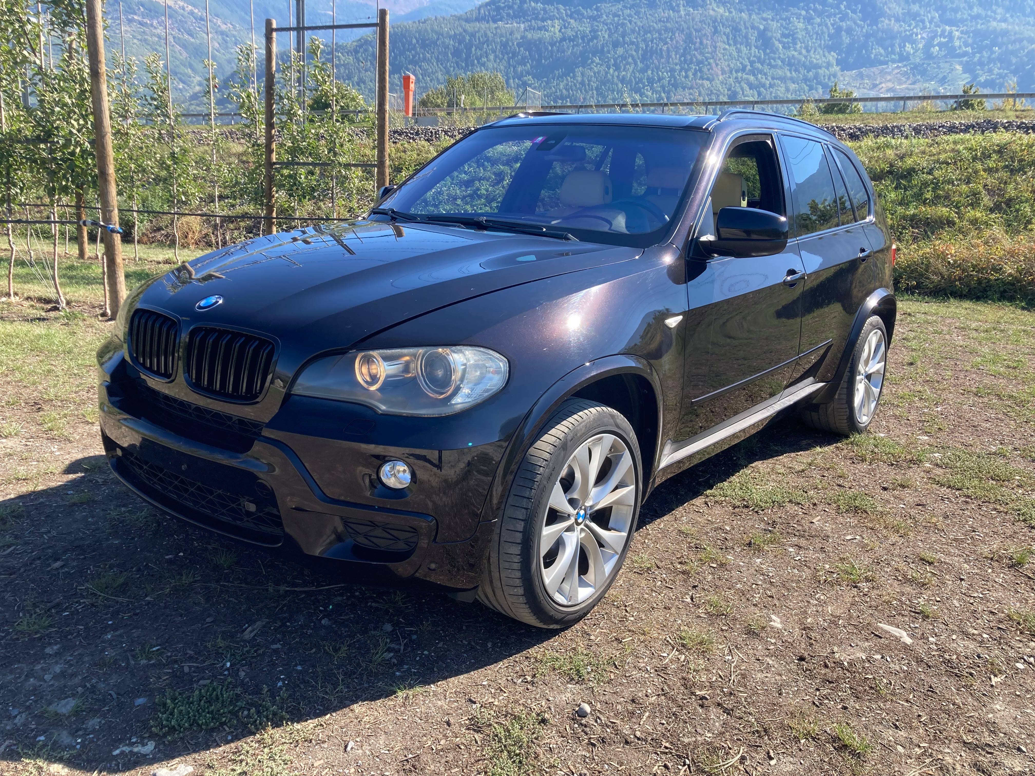 BMW X5 xDrive 35d (3.0sd) Steptronic