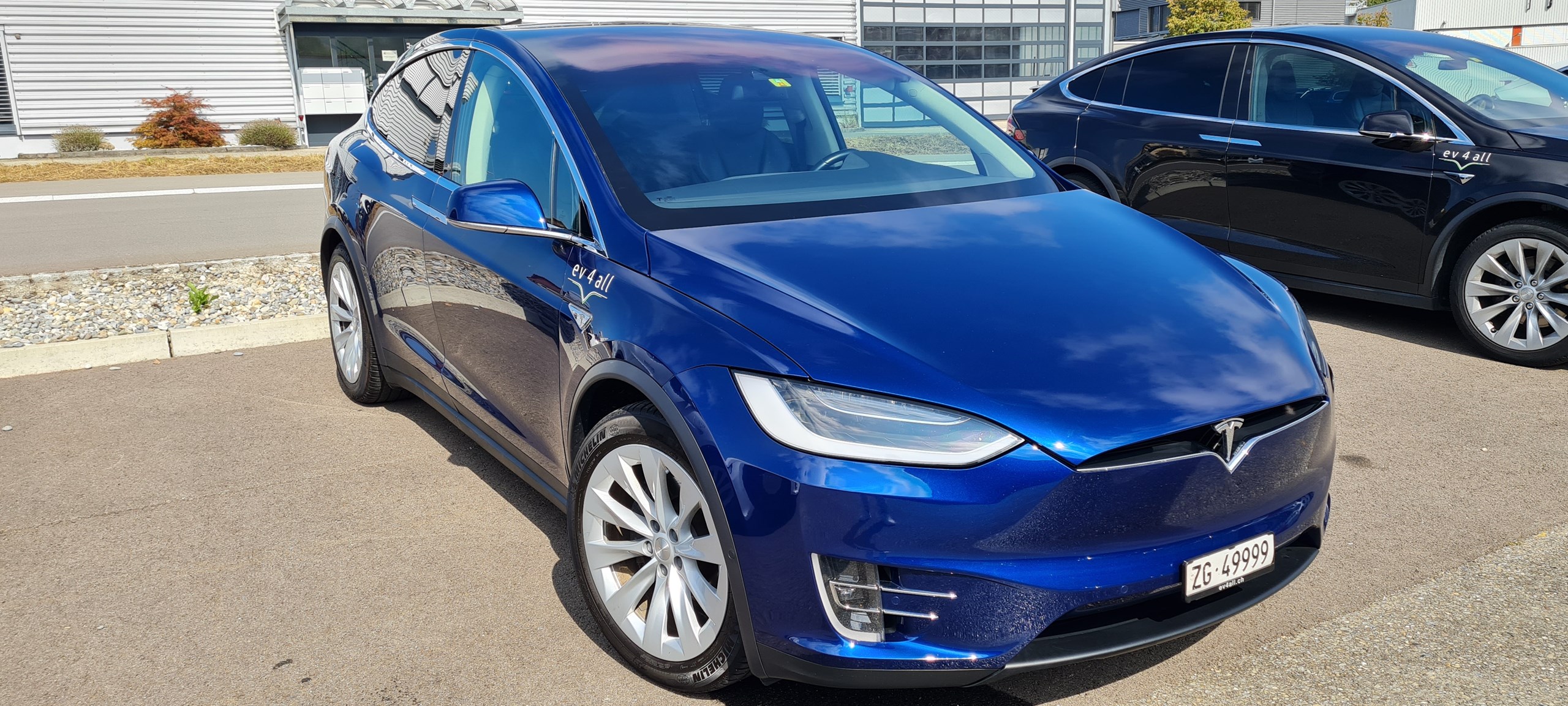 TESLA Model X 90 D / Allrad / 6 Plätze / Premium Konnektivität / Top Zustand / 8fach bereift / CSS Adapter