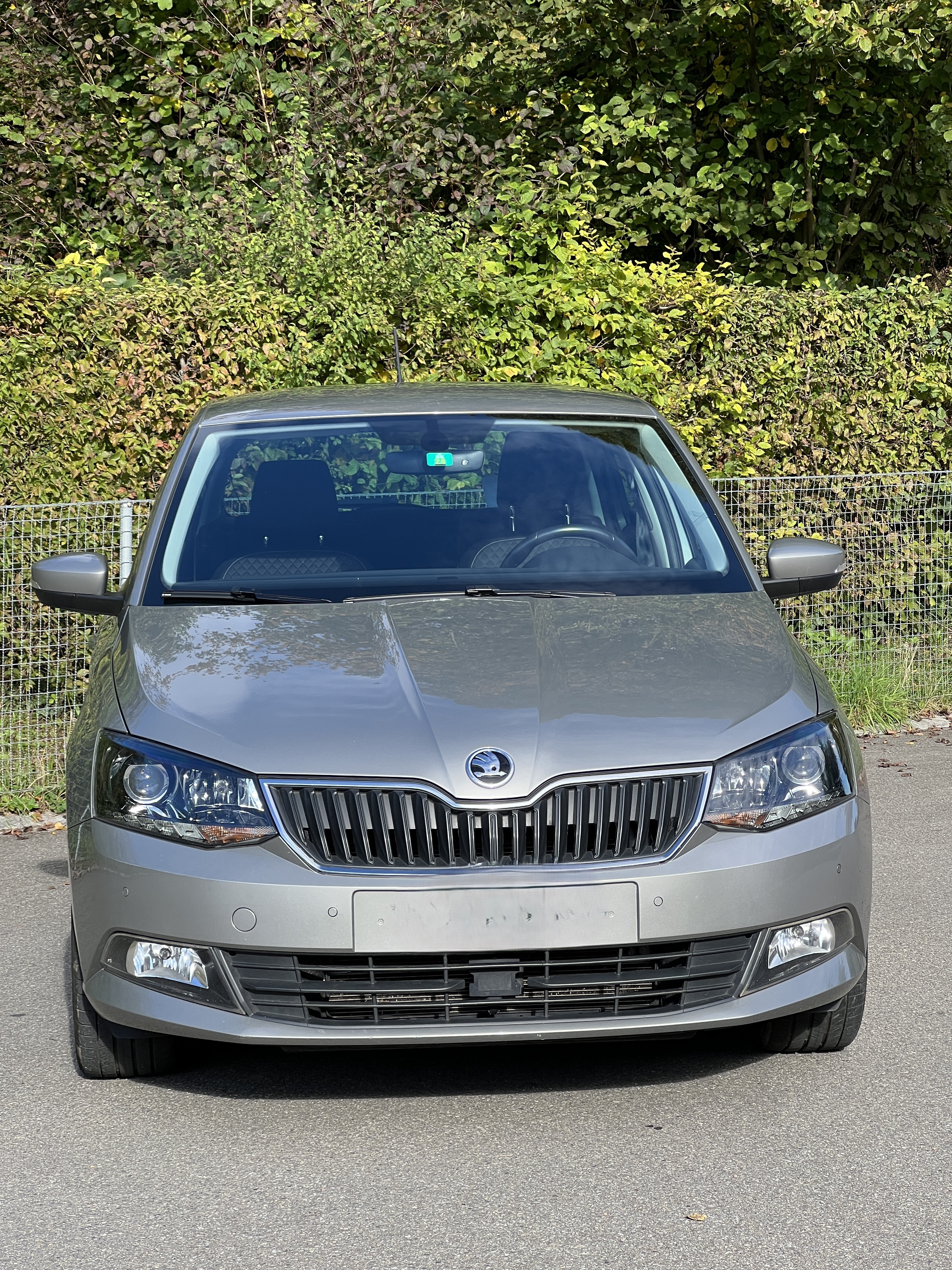 SKODA Fabia 1.2 TSI Swiss Edition DSG