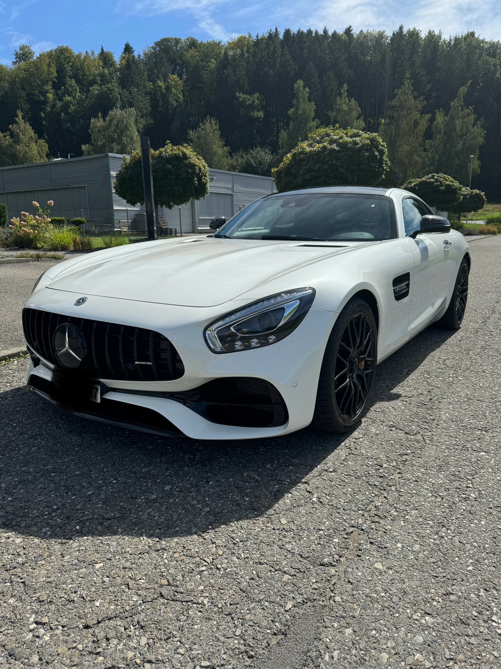 MERCEDES-BENZ AMG GT S Roadster Speedshift DCT