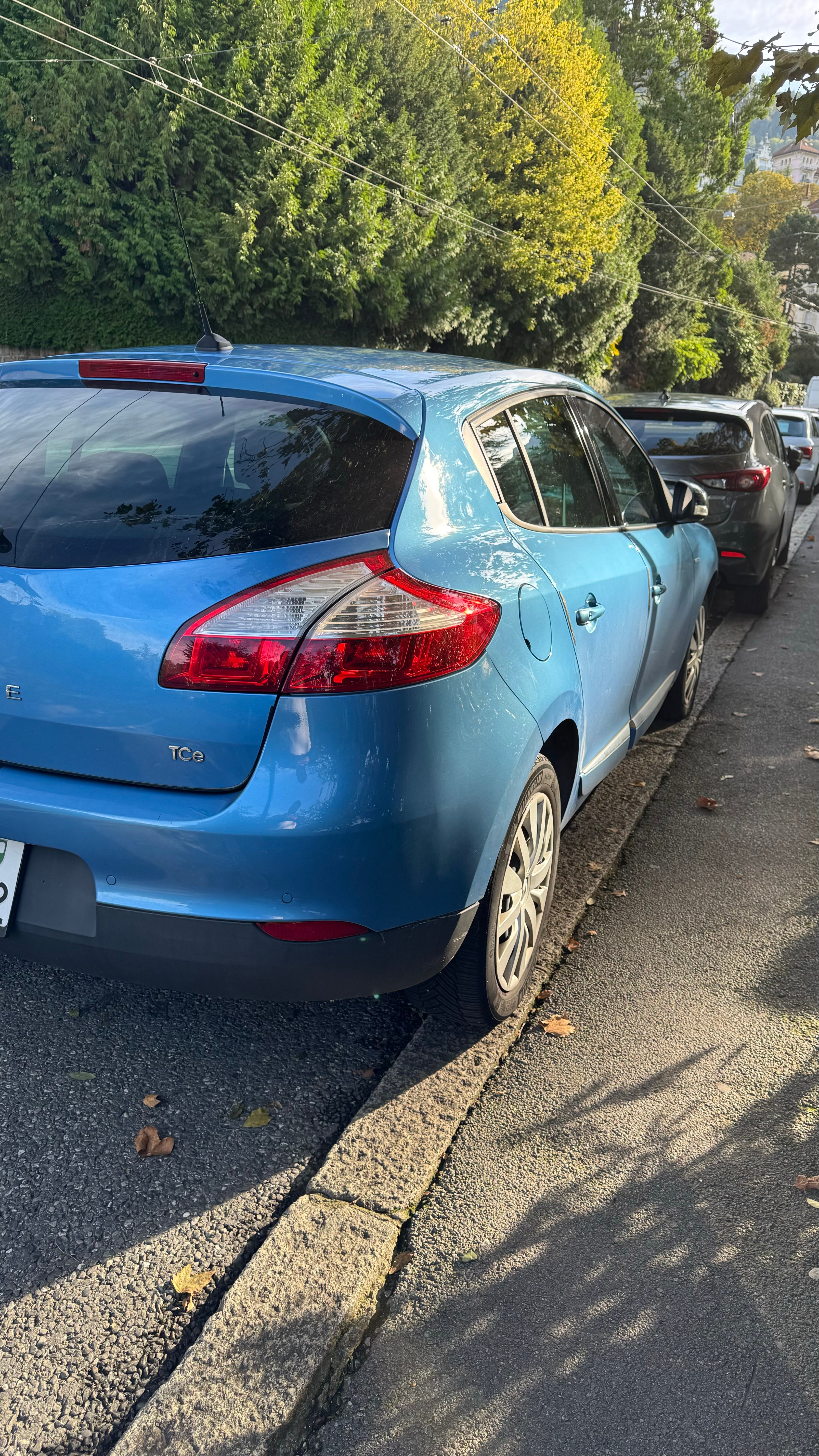 RENAULT Mégane 1.2 130 Swiss Edition