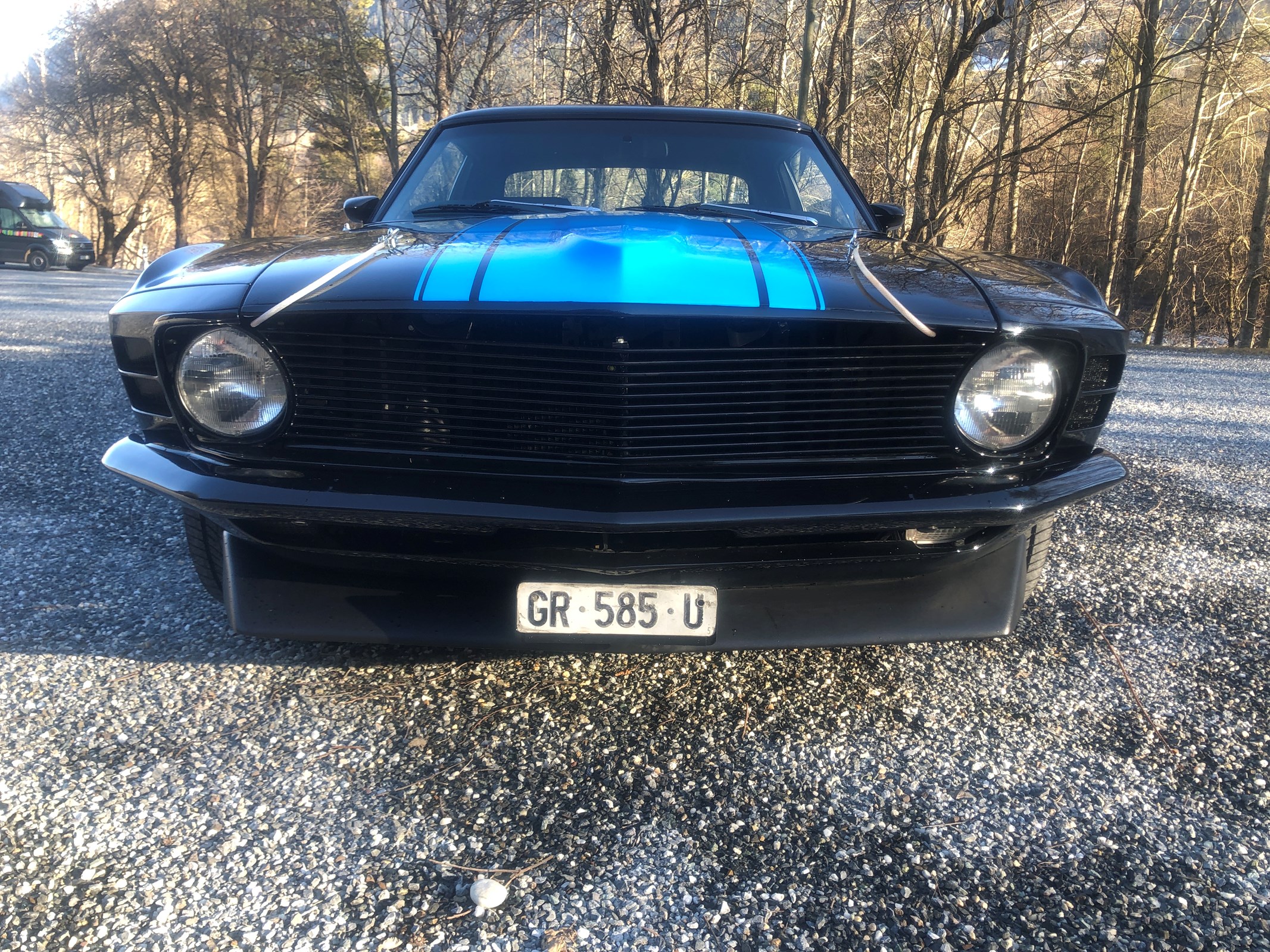 FORD MUSTANG Boss 302 Tribute