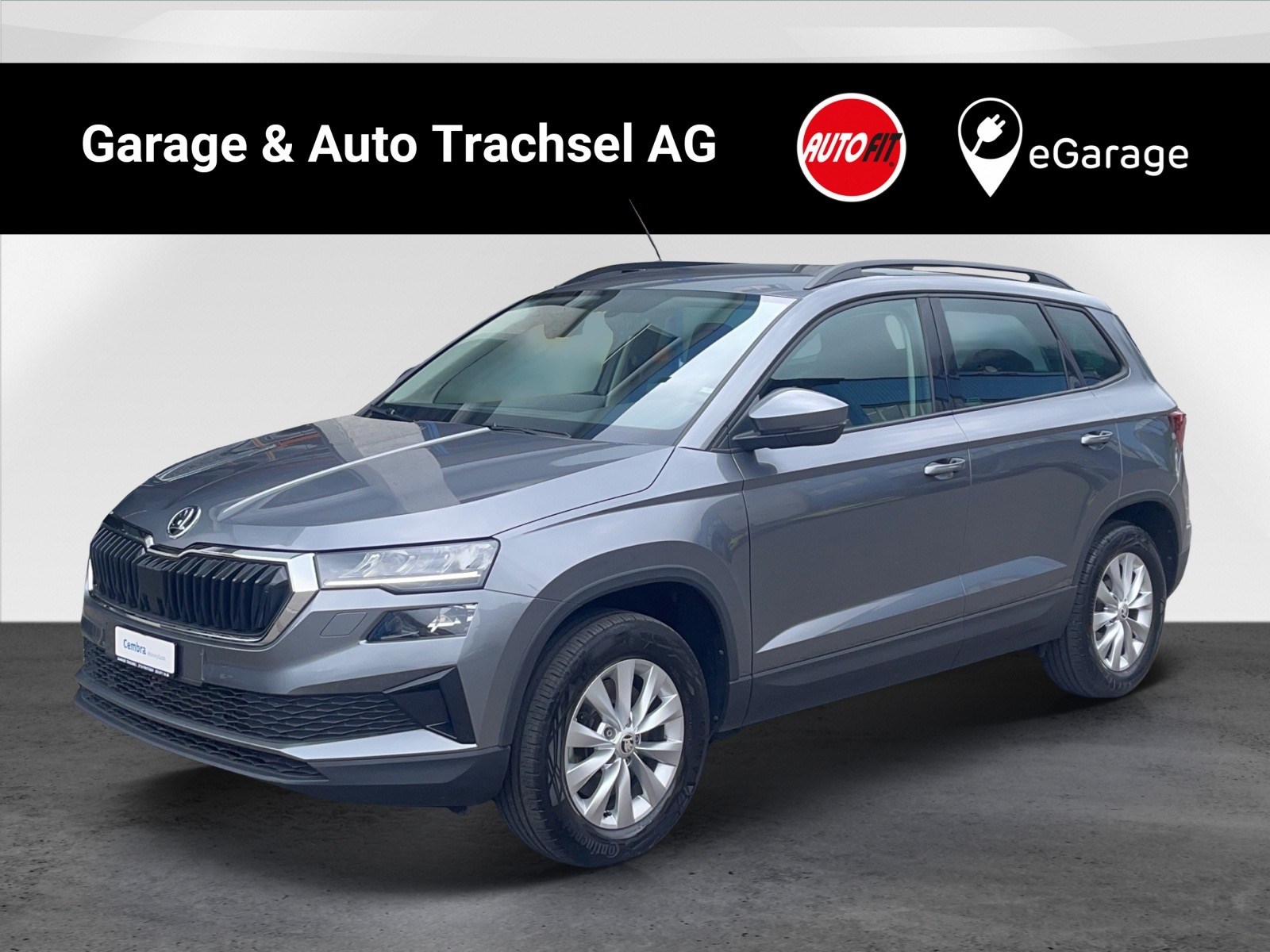 SKODA Karoq 2.0 TDI CR Ambition 4x4 DSG