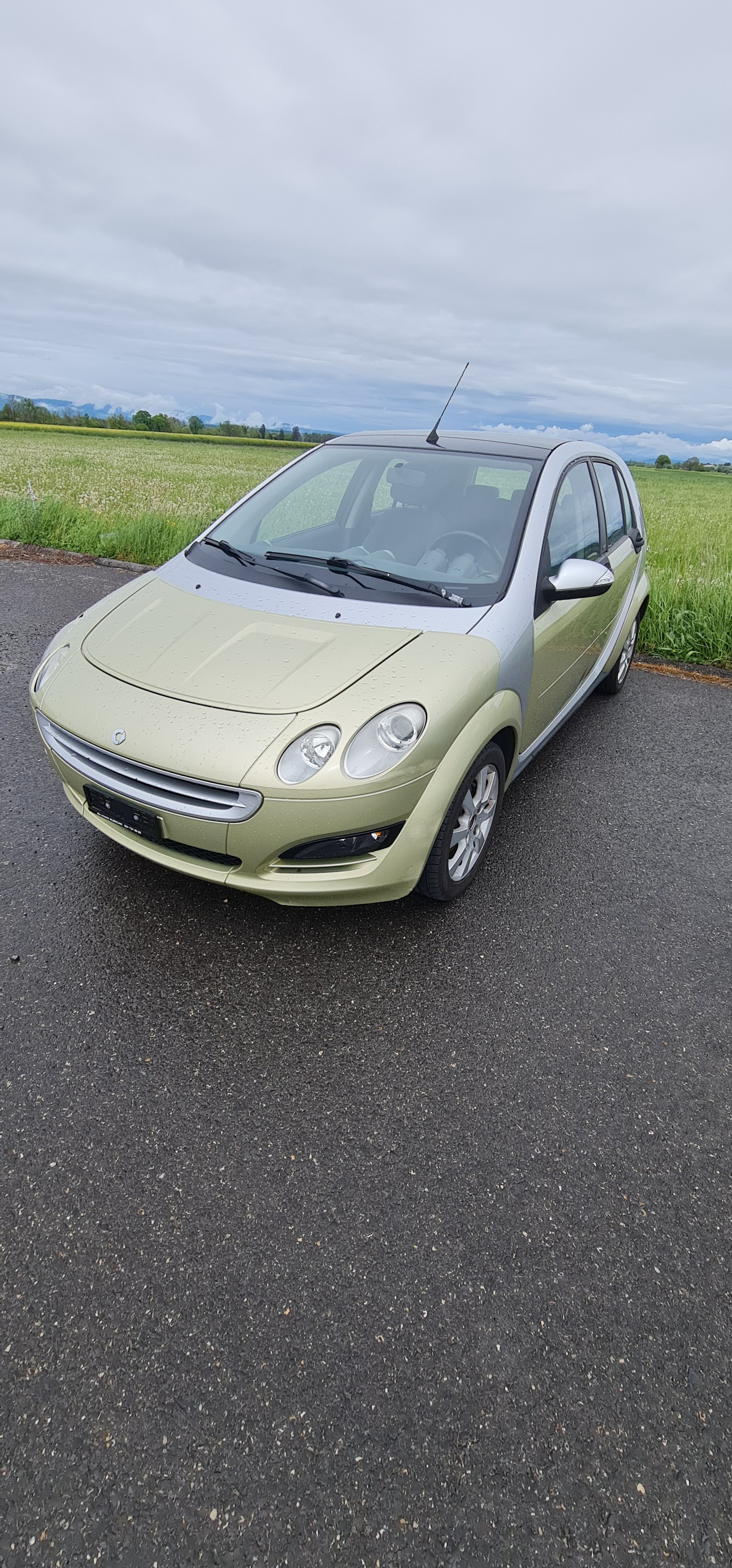 SMART forfour 1.5 passion