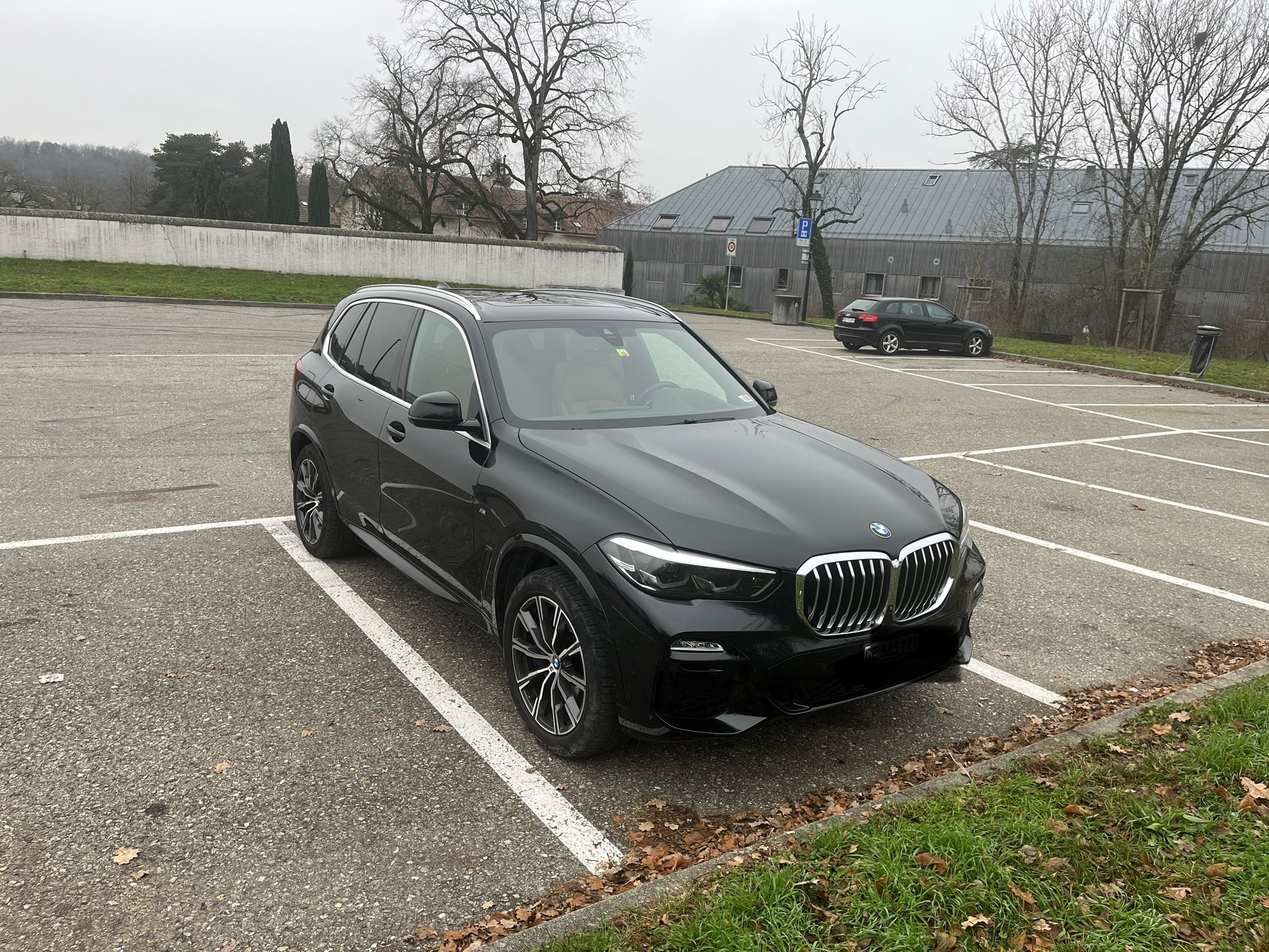 BMW X5 xDrive 30d xLine Steptronic