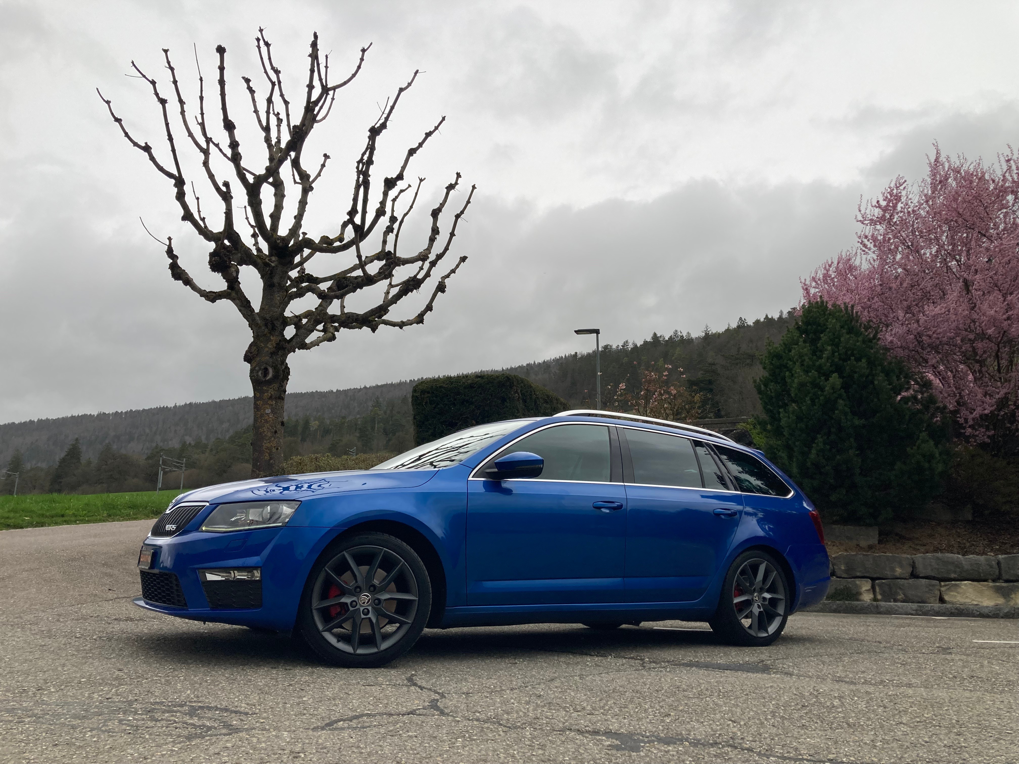 SKODA Octavia Combi 2.0 TDI RS 4x4 DSG