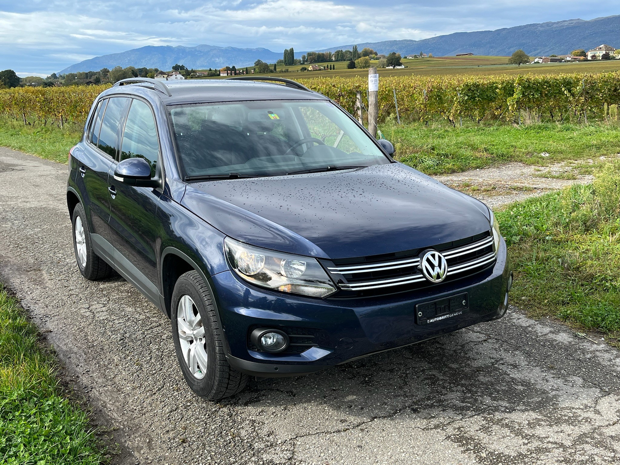 VW Tiguan 2.0 TSI Track&Field 4Motion DSG