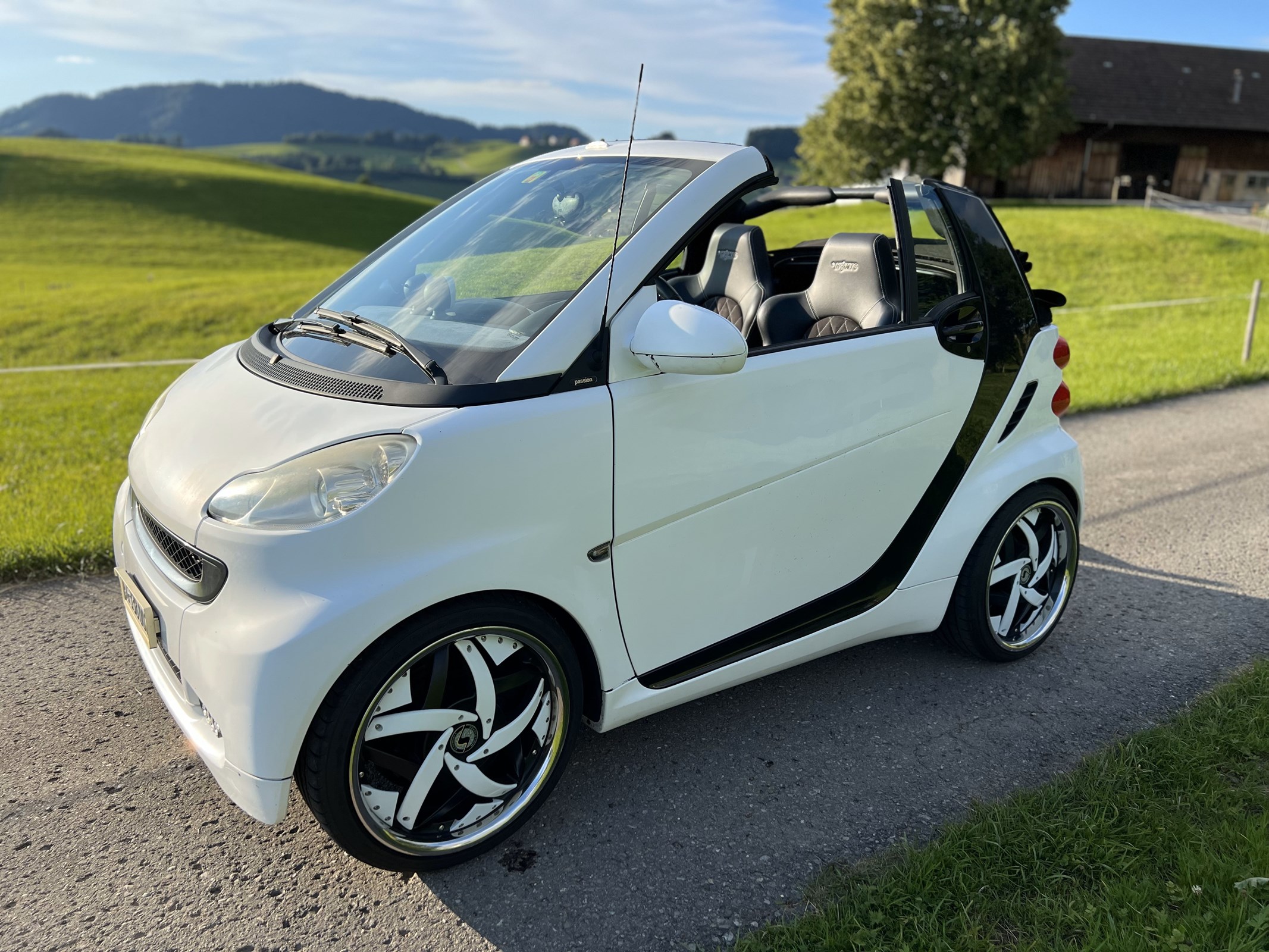 SMART fortwo pulse softouch