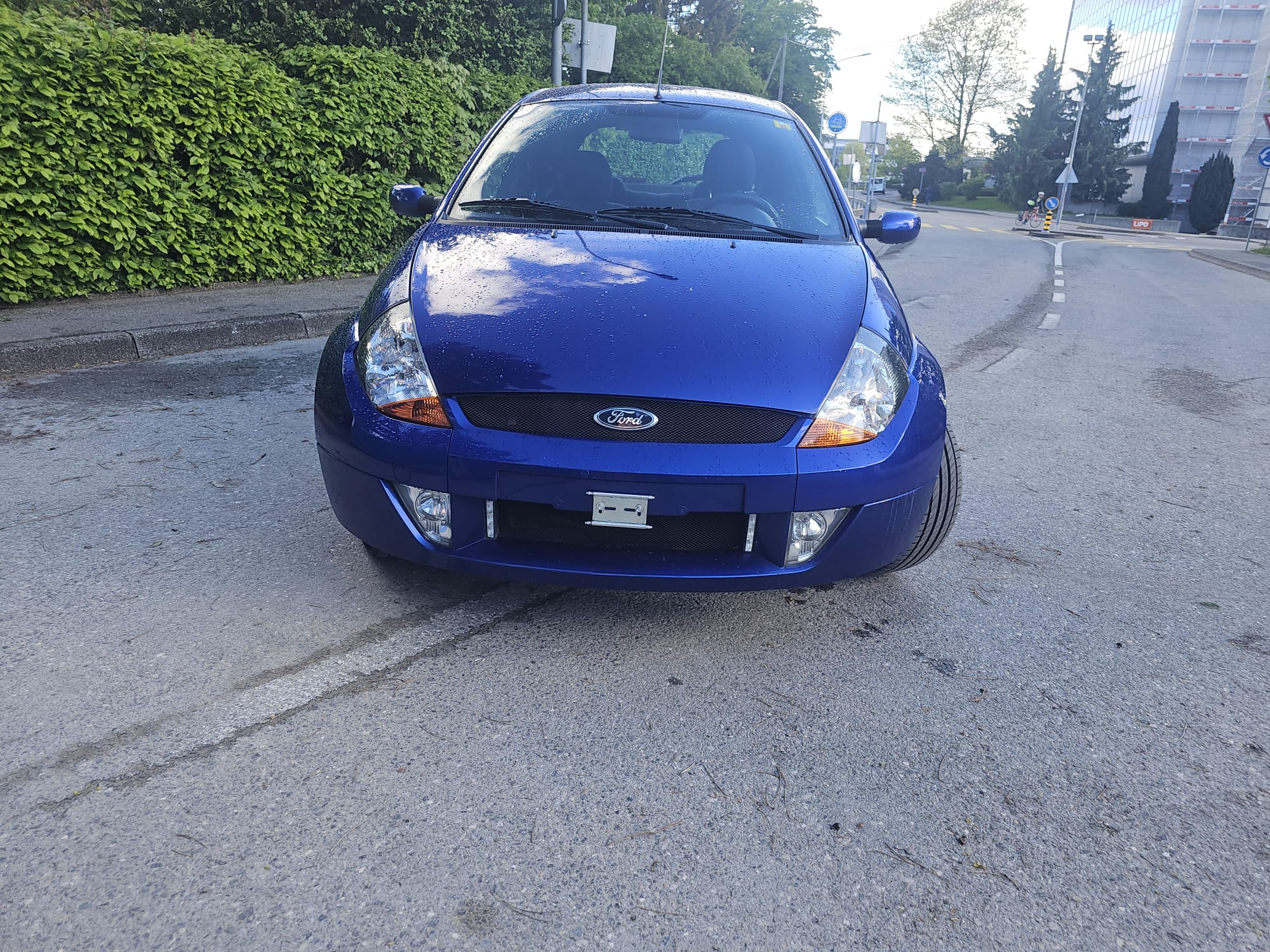 FORD KA 1.6 Sportka