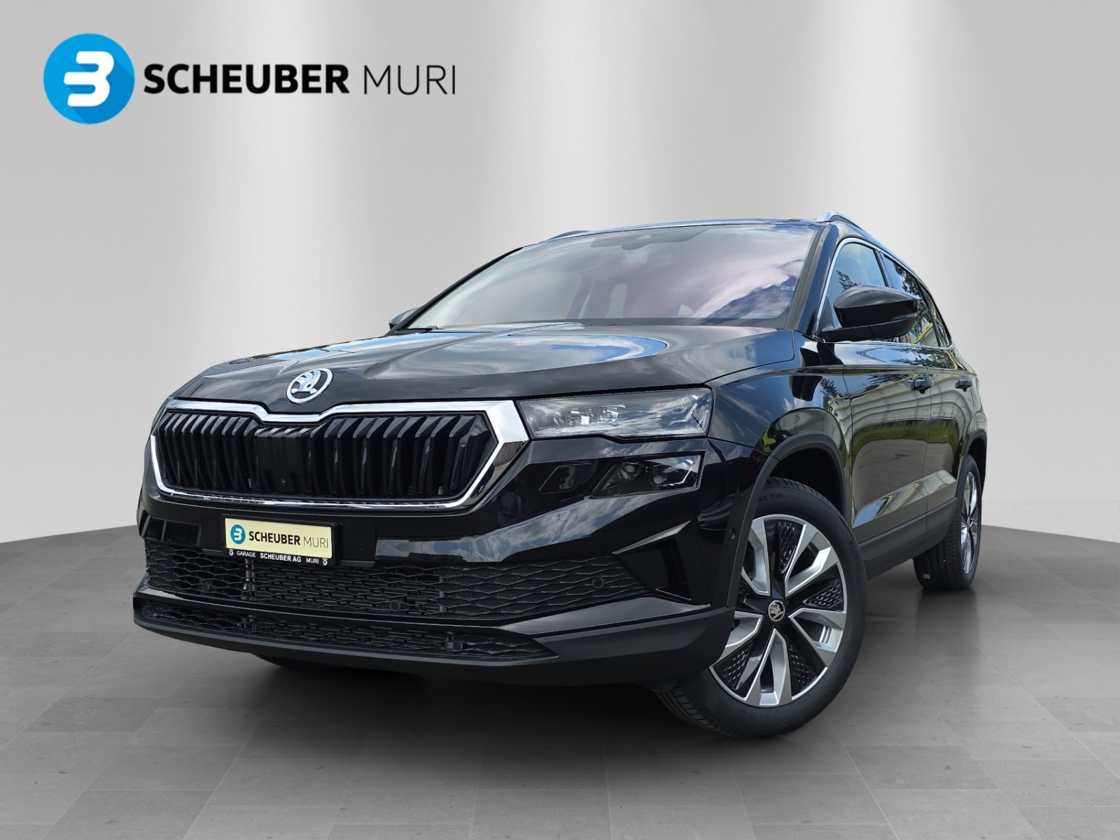 SKODA Karoq 2.0 TDI CR Selection 4x4 DSG