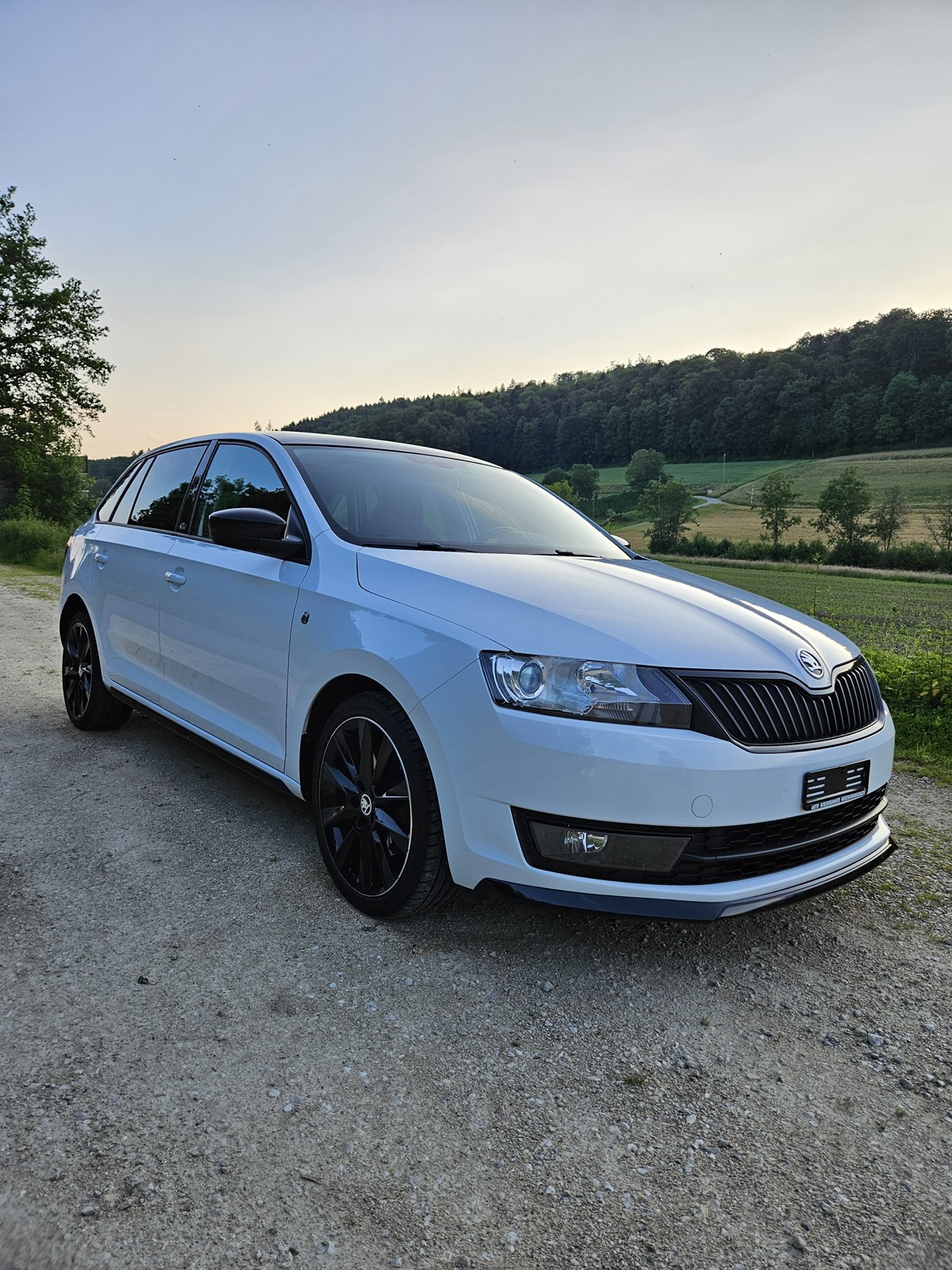 SKODA Rapid Spaceback 1.4 TSI Monte Carlo DSG