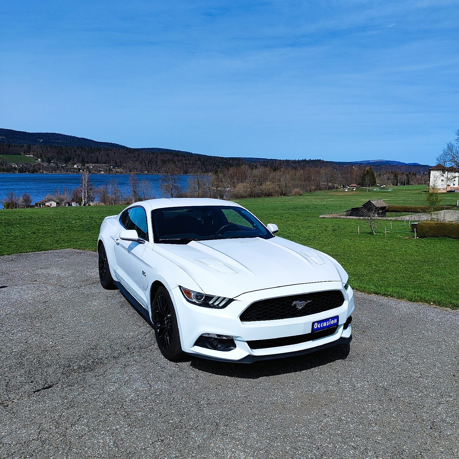 FORD Mustang Fastback 5.0 V8 GT