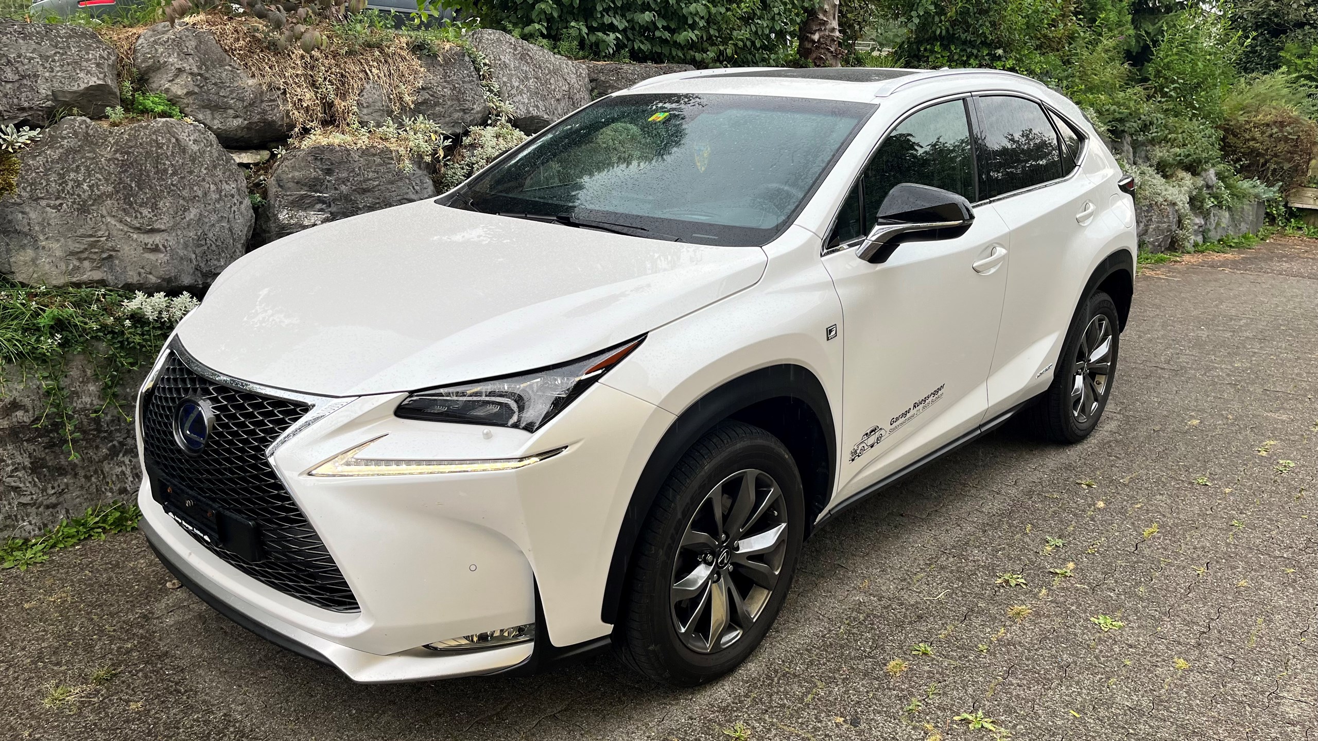 LEXUS NX 300h F-Sport E-Four Automatic