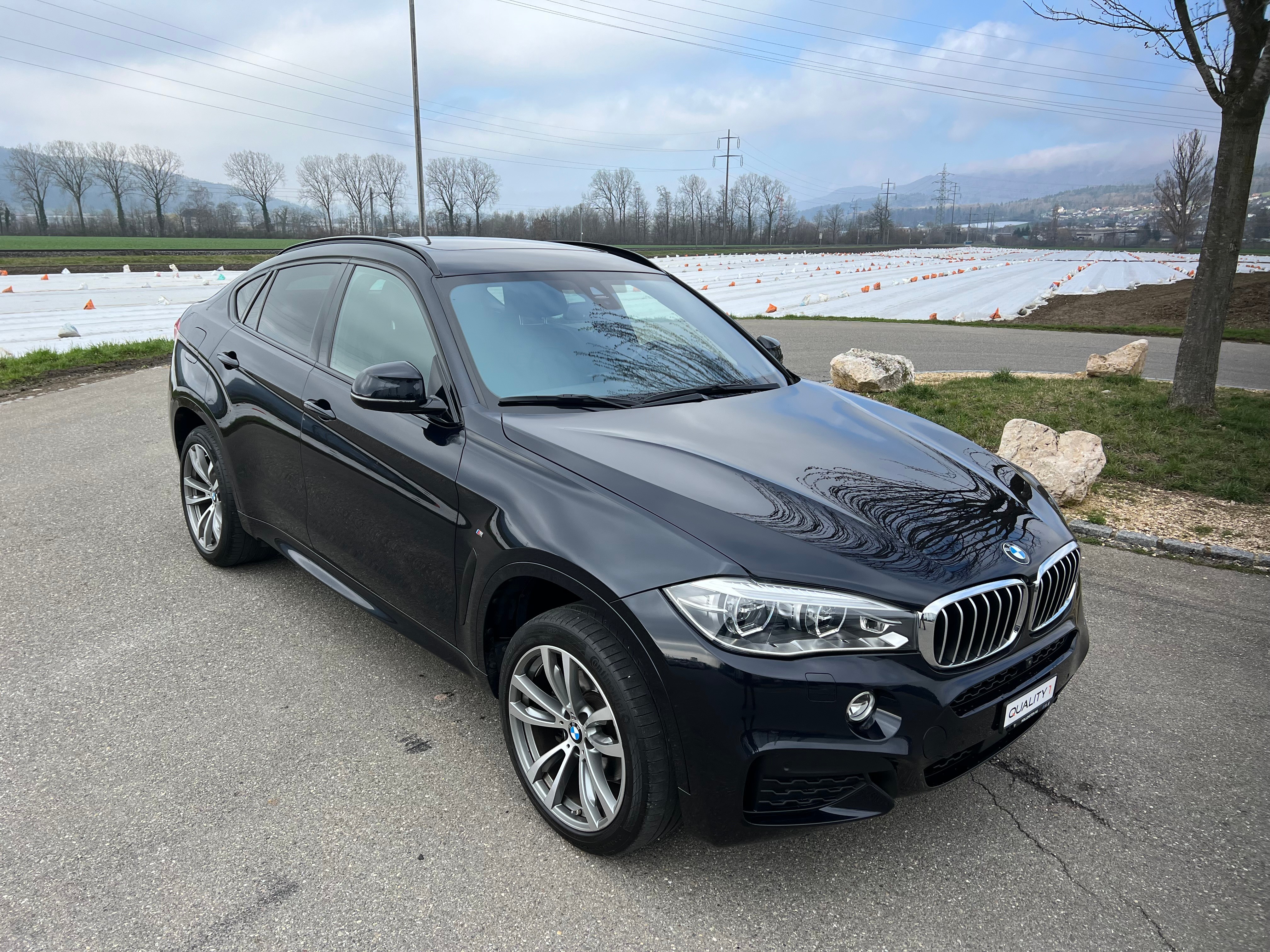 BMW X6 xDrive 40d Pure M Sport Plus Steptronic