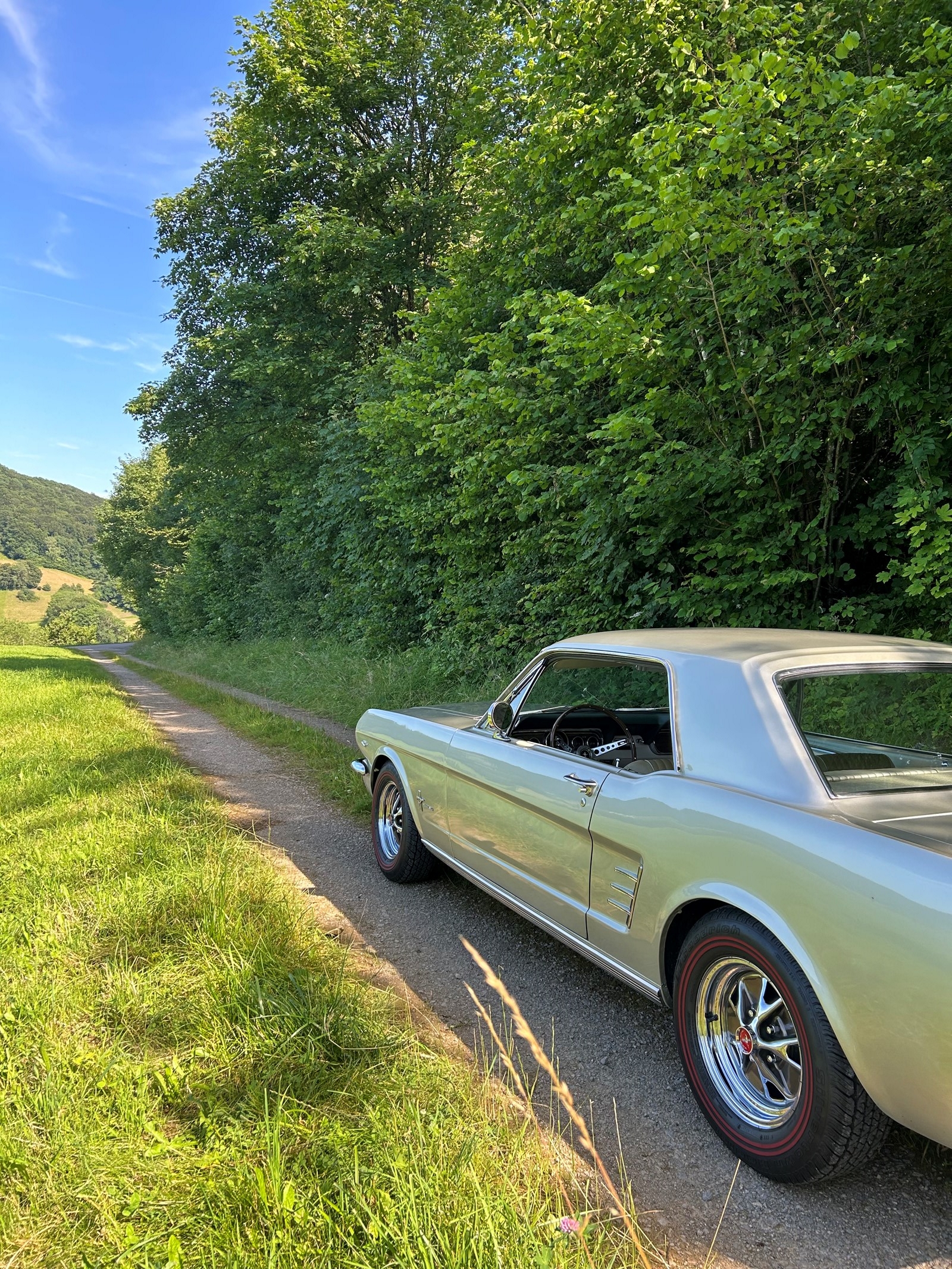 FORD MUSTANG 289 V8