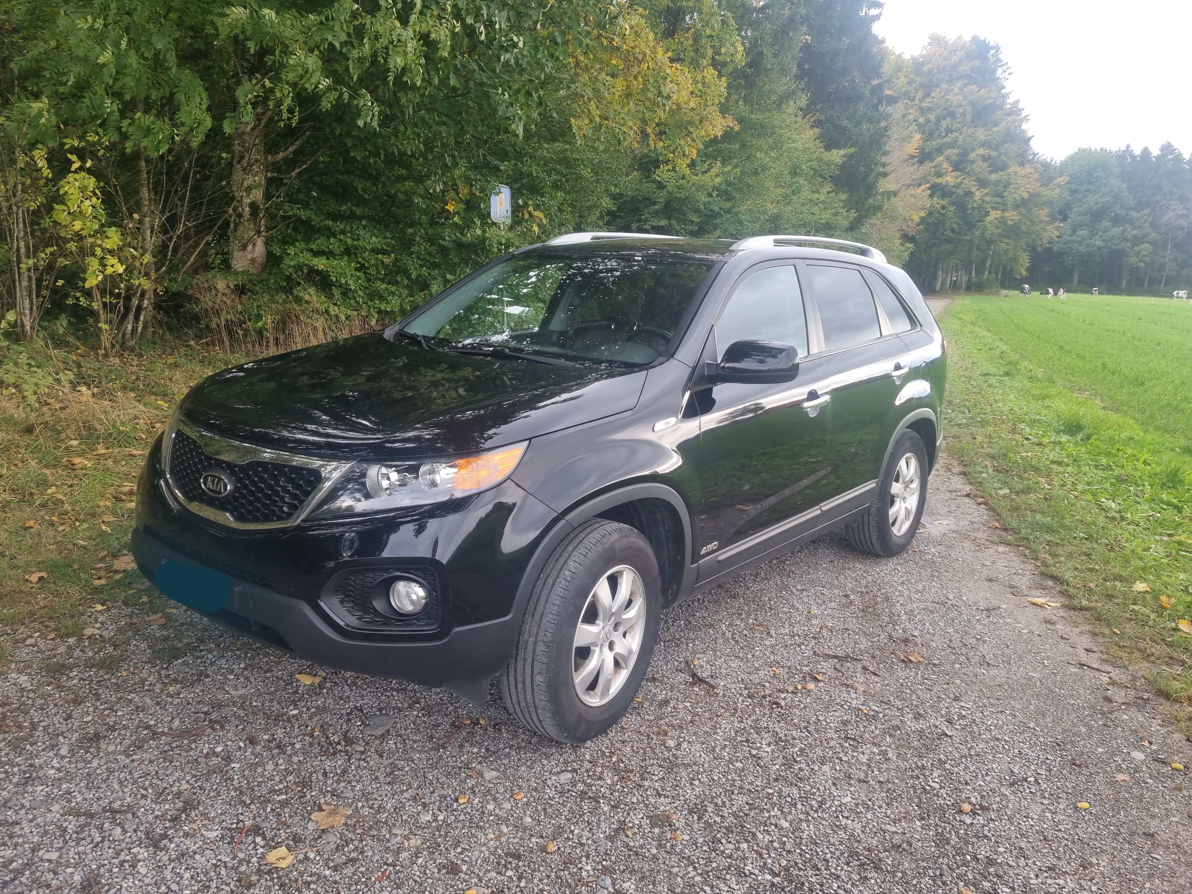 KIA Sorento CRDI 2.2 TREND