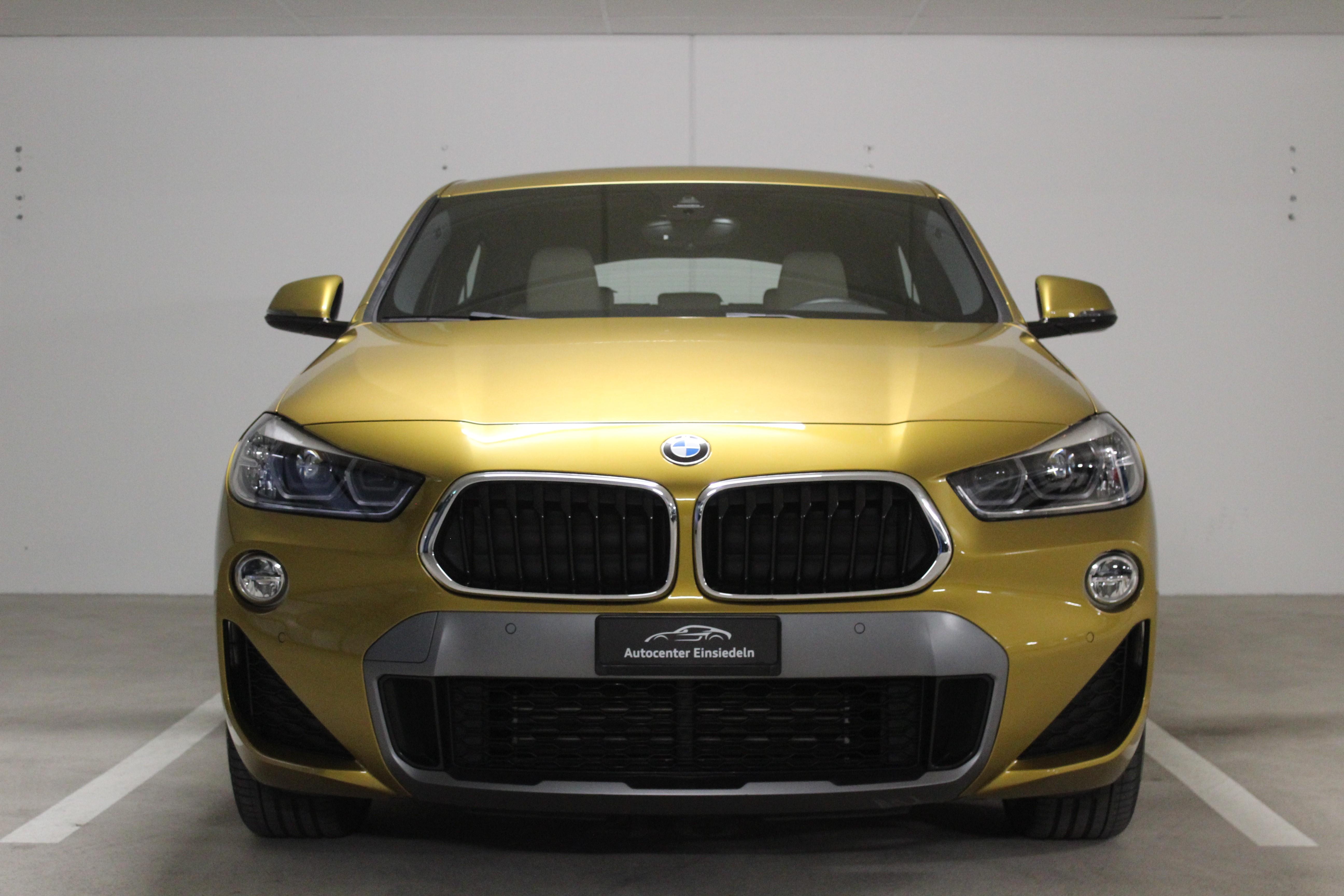 BMW X2 xDrive 20d M Sport X Steptronic