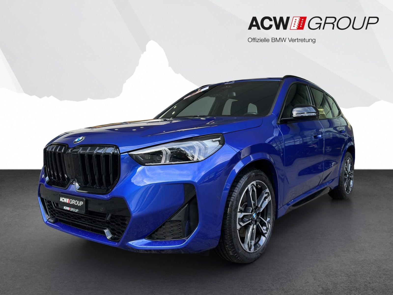 BMW X1 23d xDrive