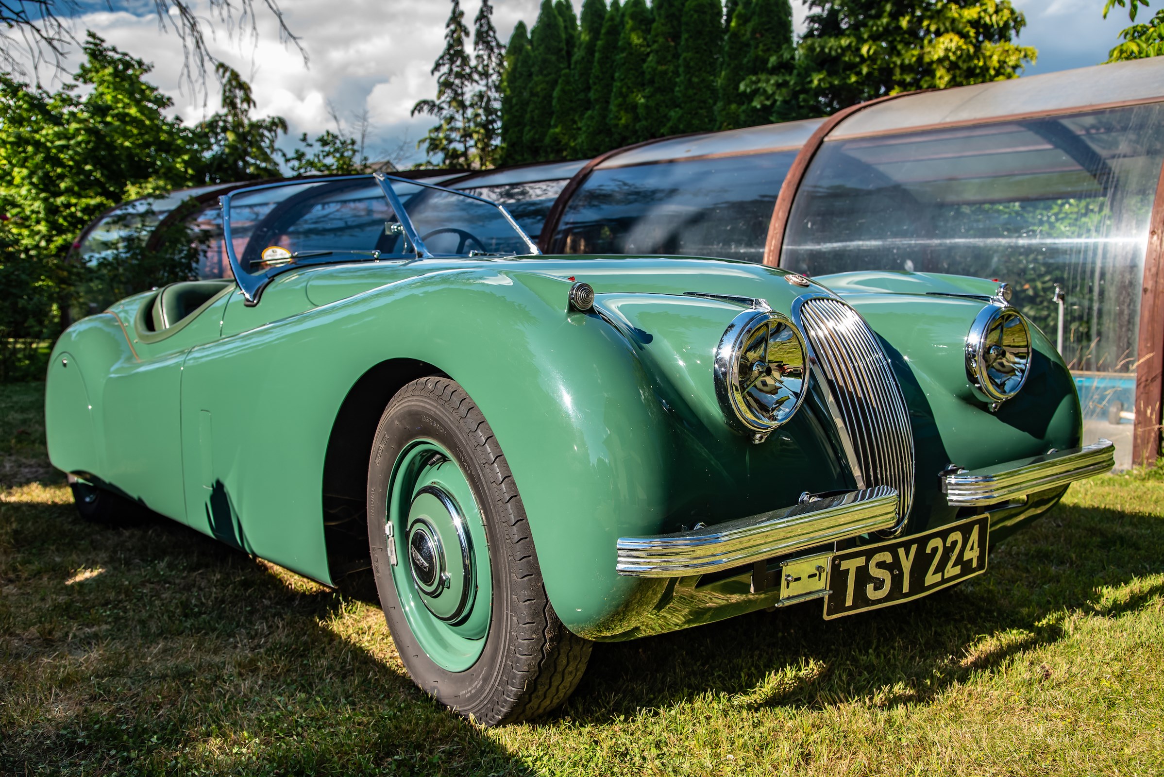 JAGUAR XK120