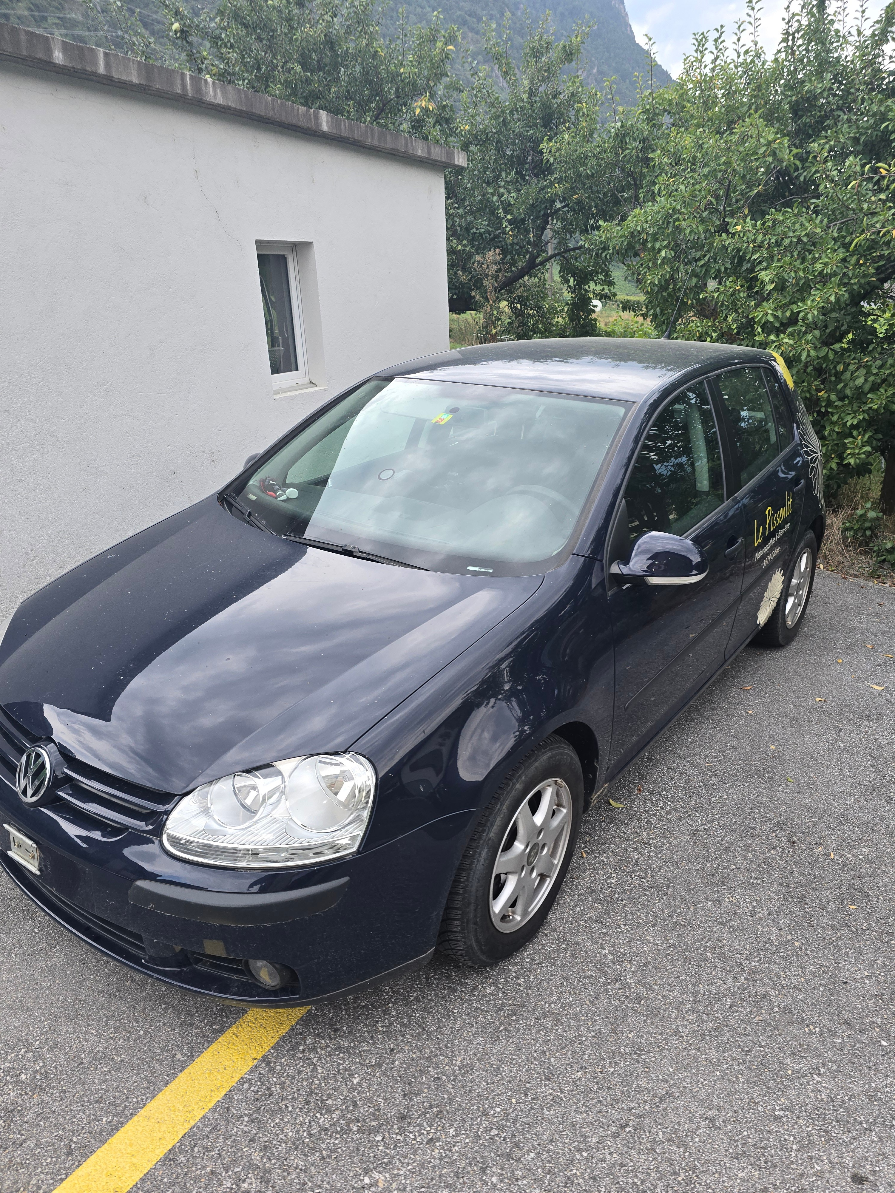 VW Golf 2.0 FSI Comfortline