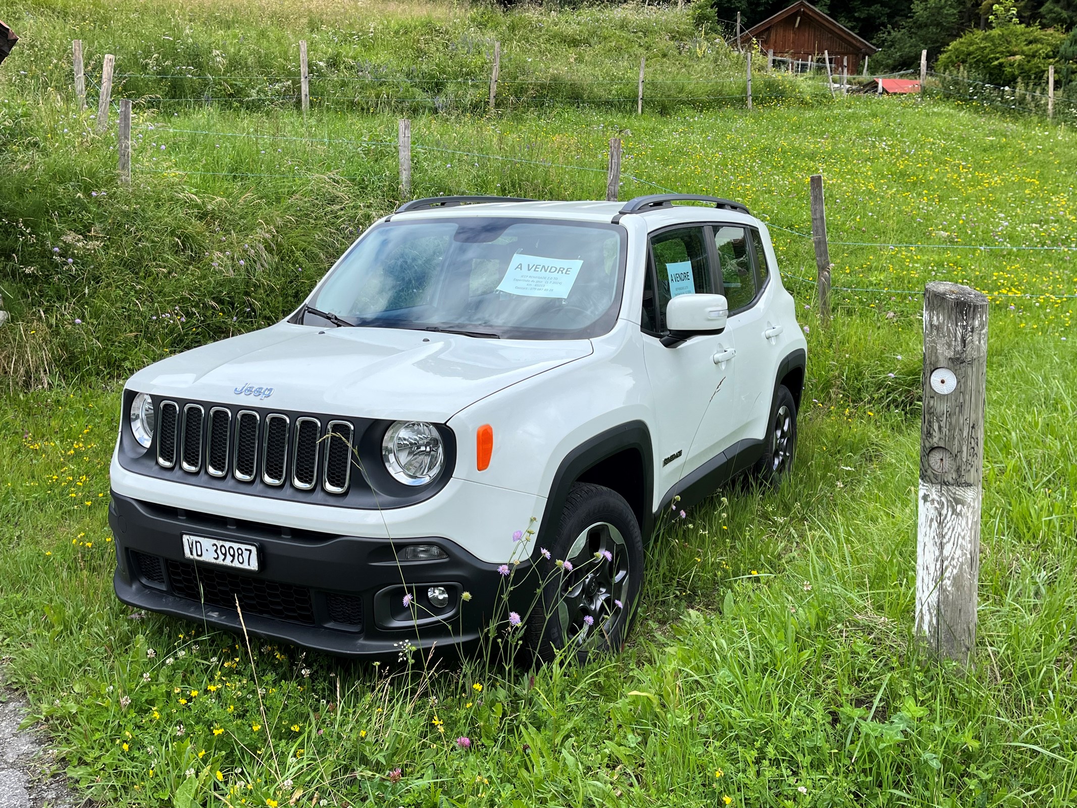 JEEP Renegade 2.0 CRD Freedom AWD